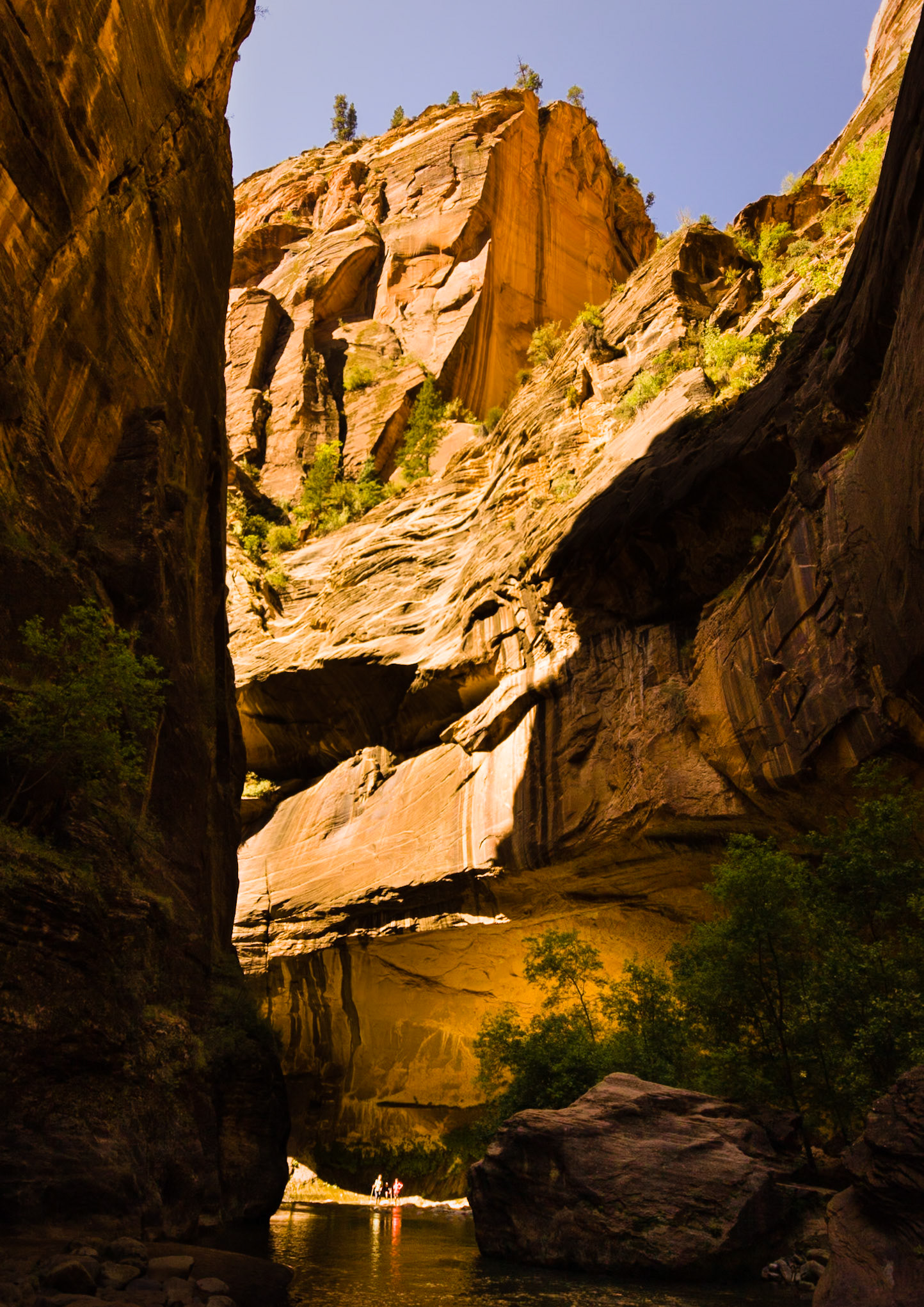 Walking the Narrows in the Zion National Park, Chris Sharples