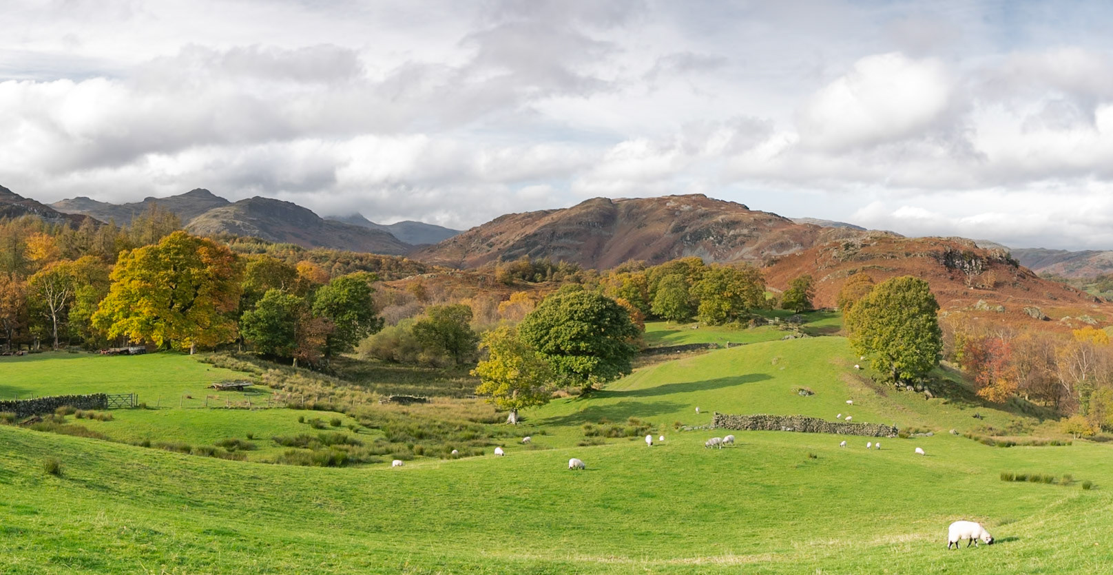 From High Oxen Fell Farm looking across Little Fell