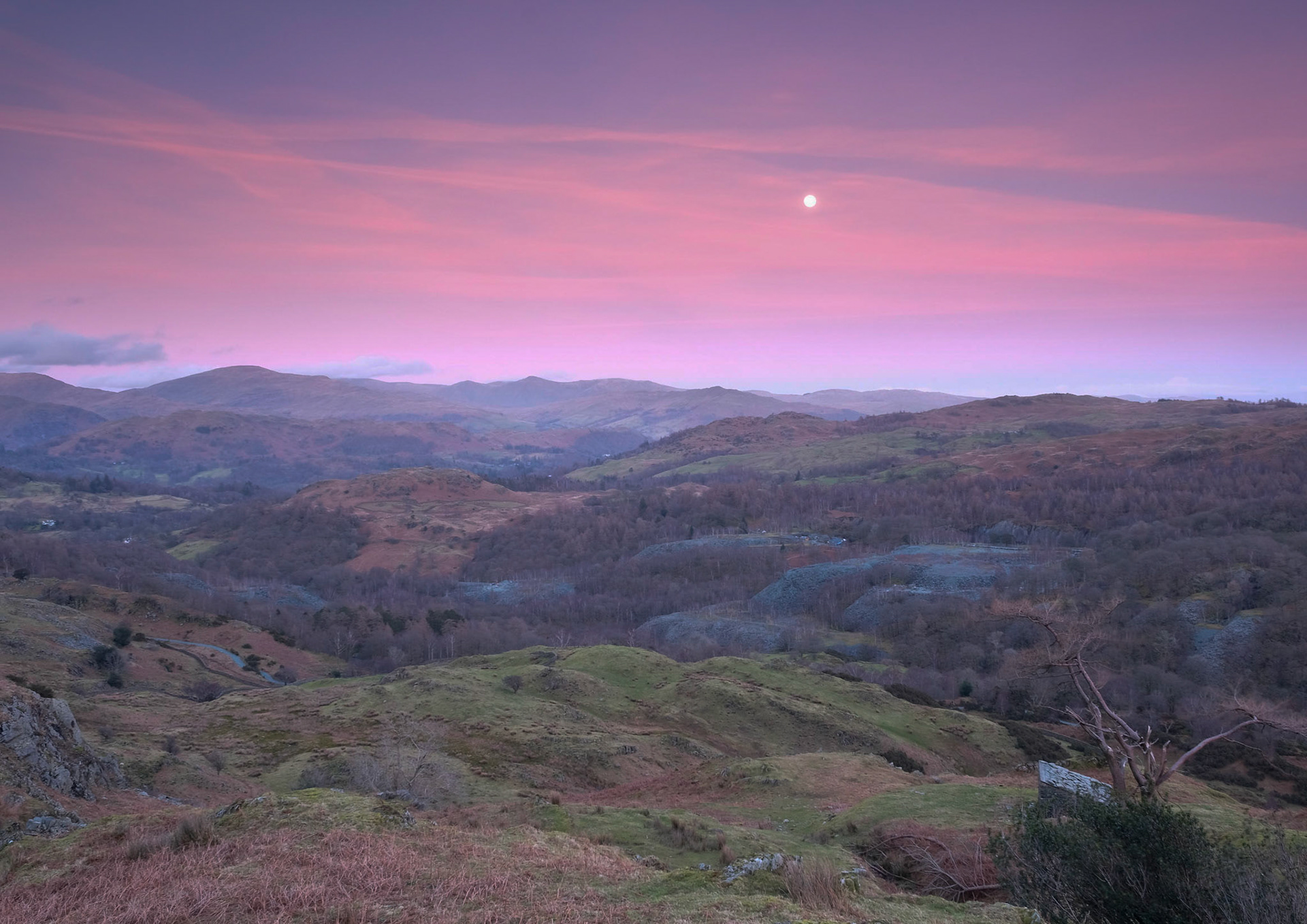 Twilight over Hodge Close