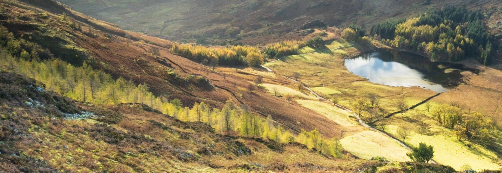 Blea Tarn, from Side How