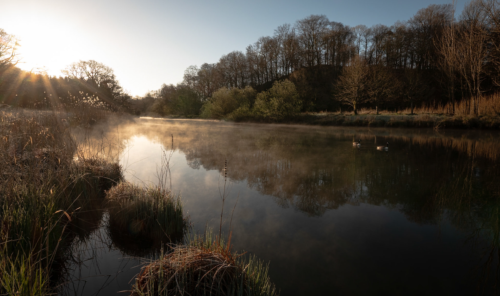 Early Morning light on the River Brathay