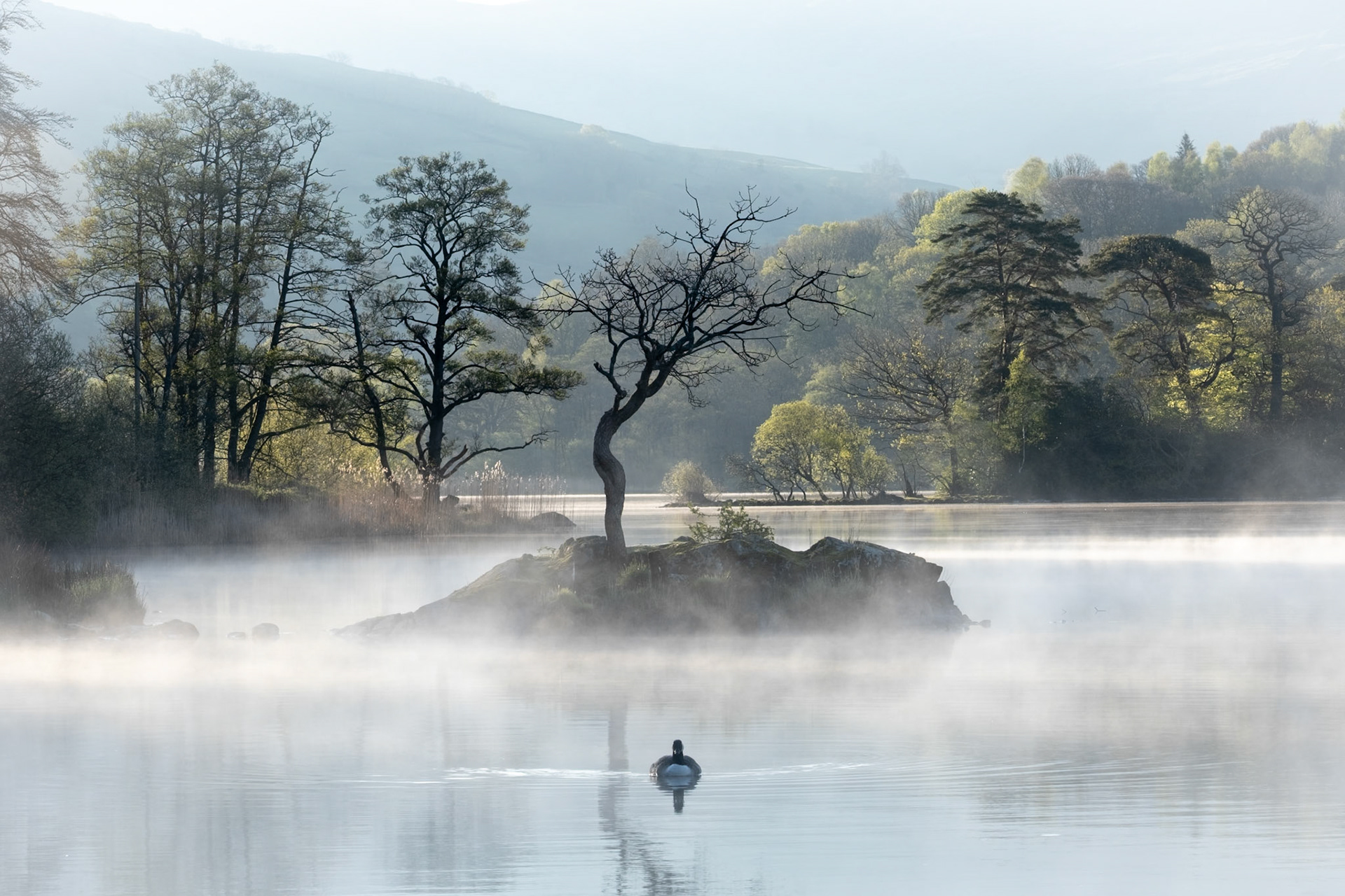 Peaceful early morning at Rydal Water