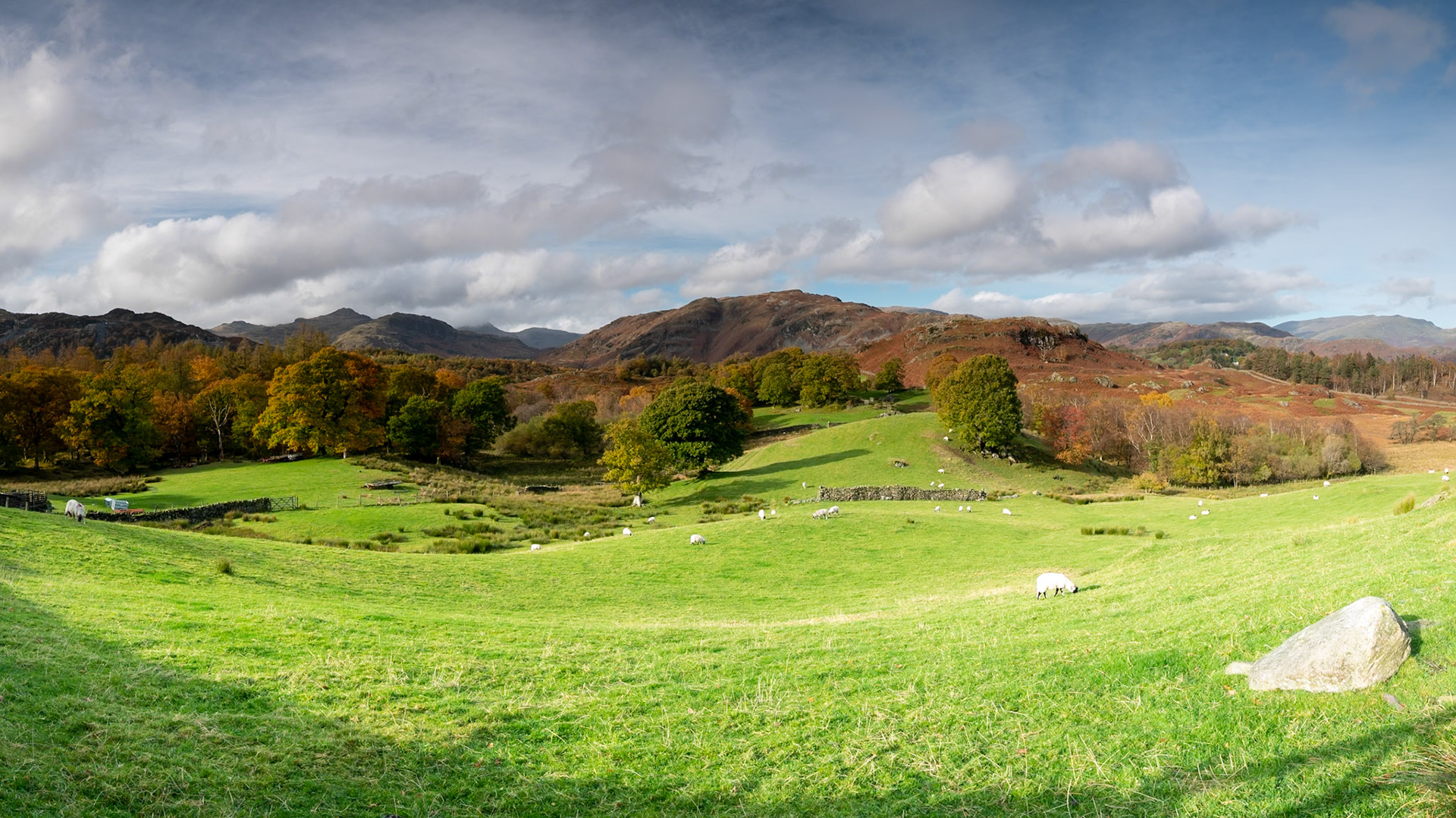 Little Fell with Lingmoor Fell in the Background