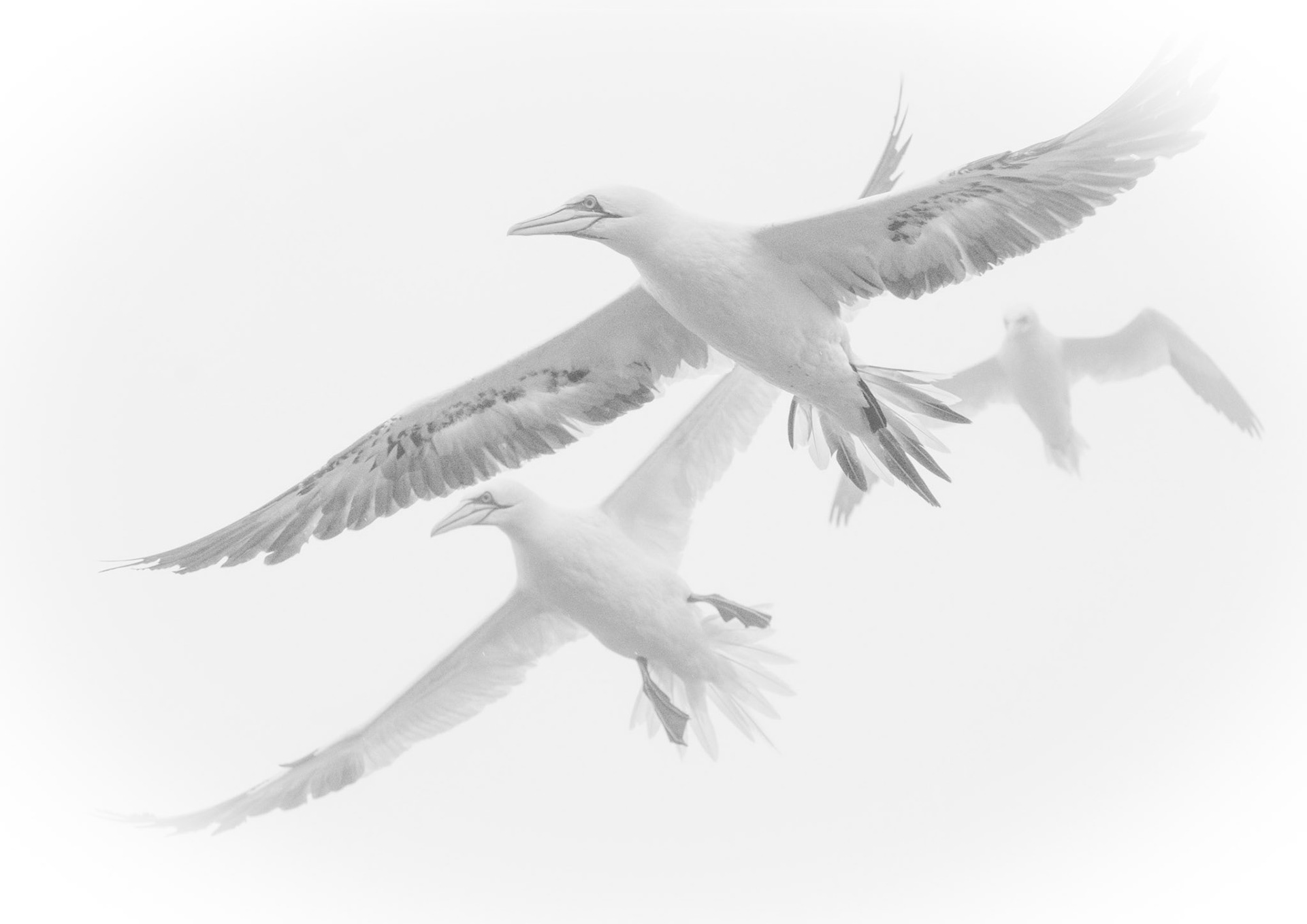 Bandits at 9 o'clock