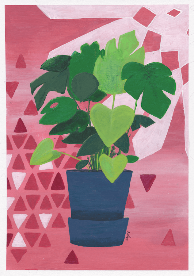 Monstera