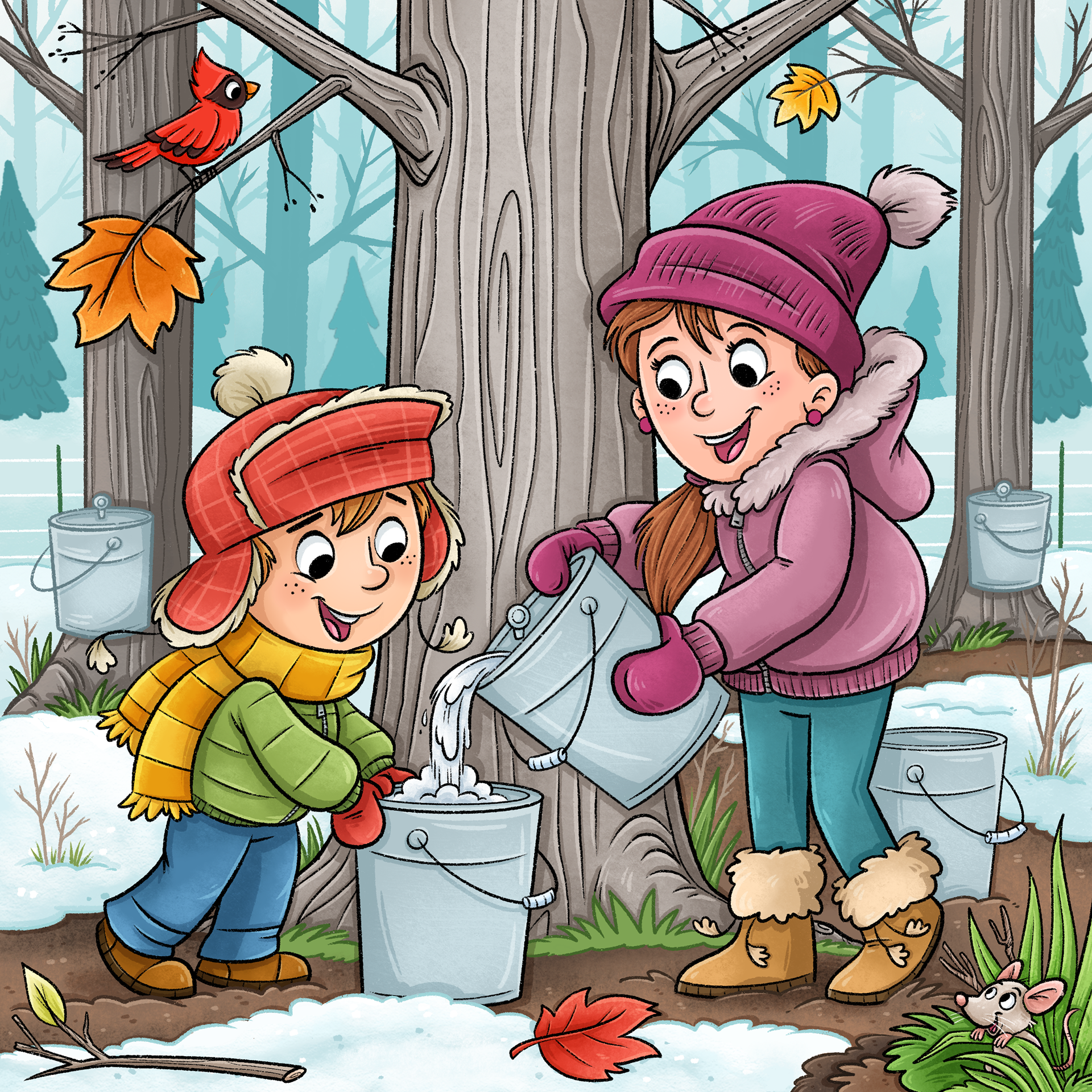 Collecting Sap for Maple Syrup