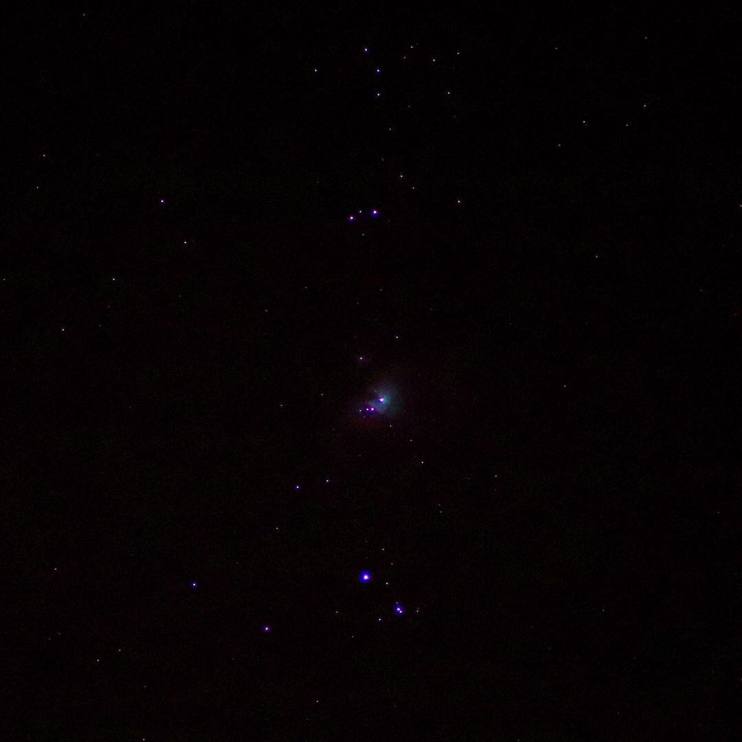 Orion Nebula