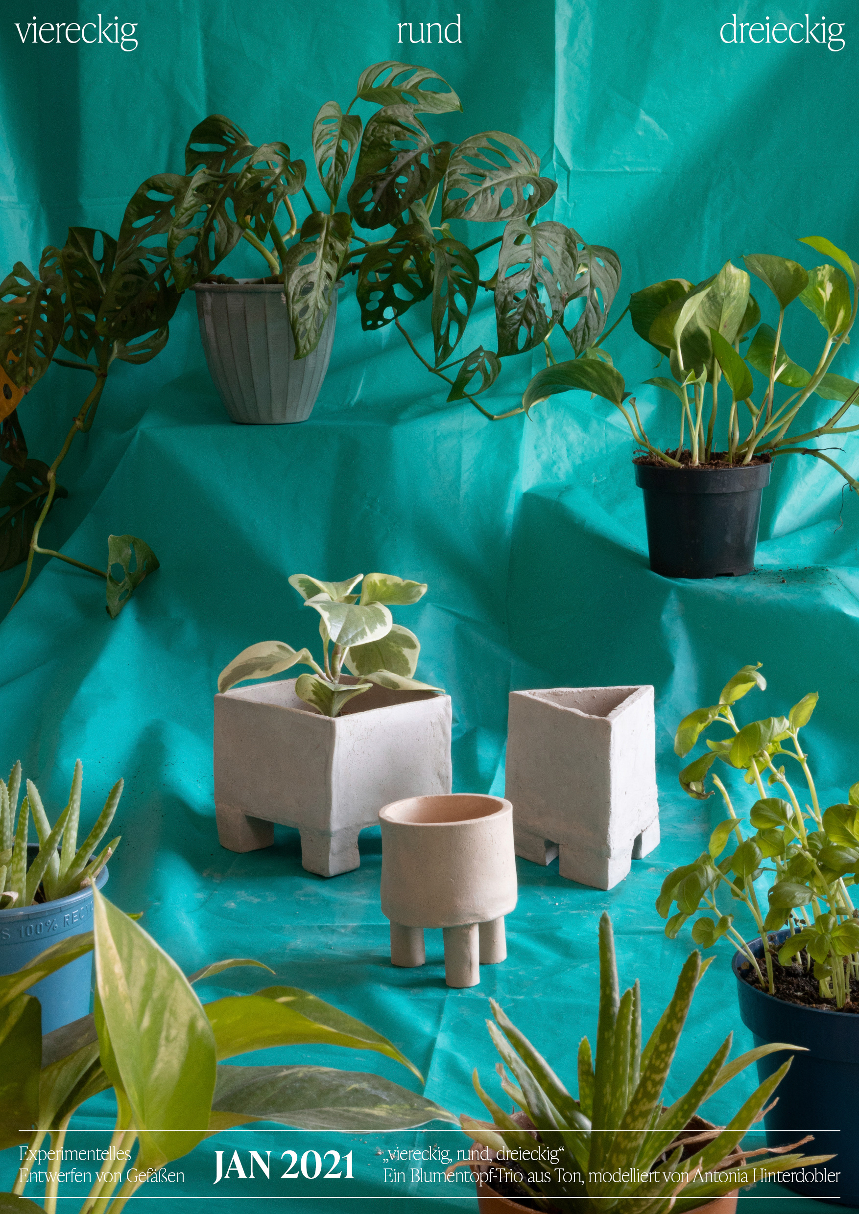 Blumentopftrio