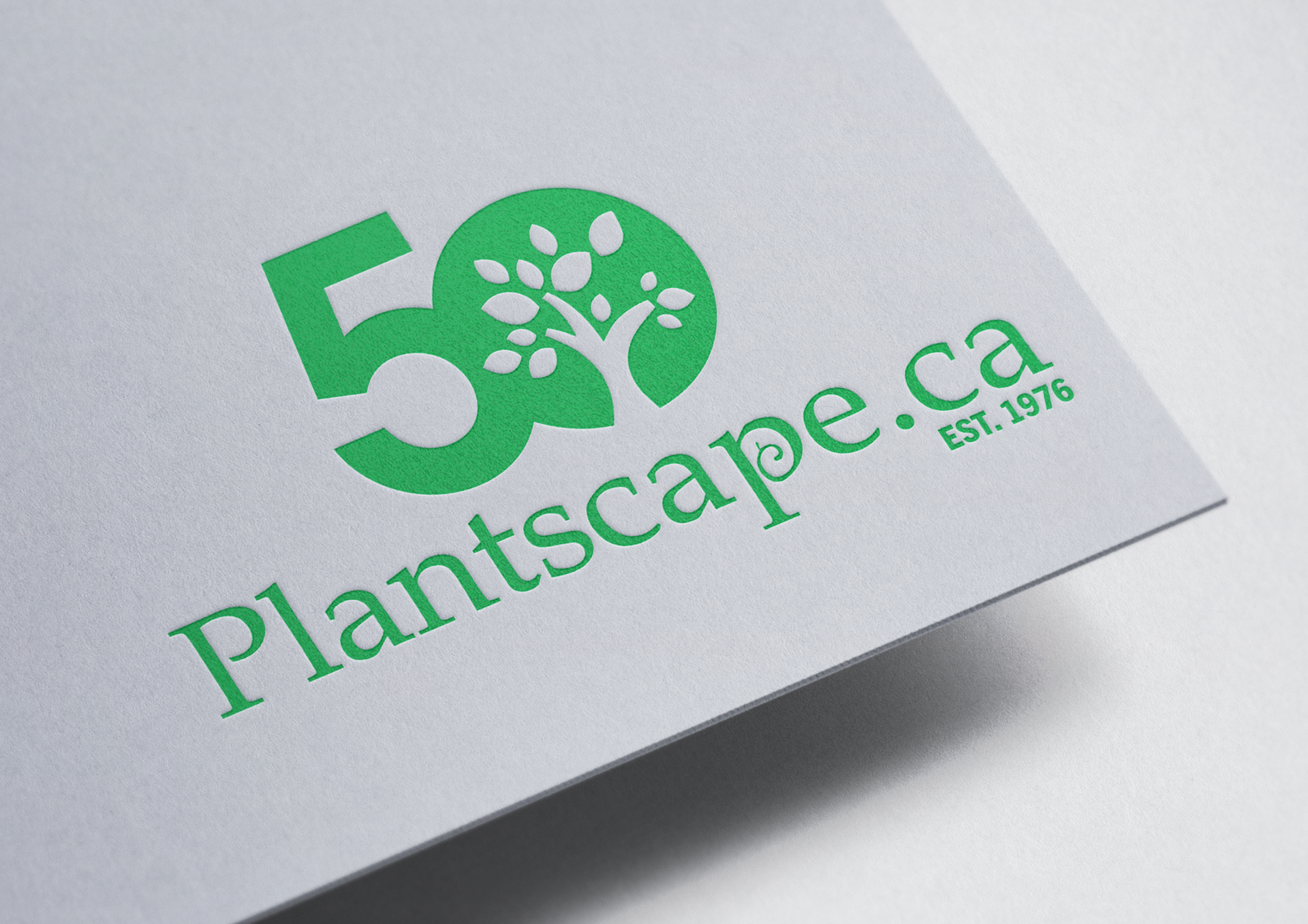 50th Anniversary Branding