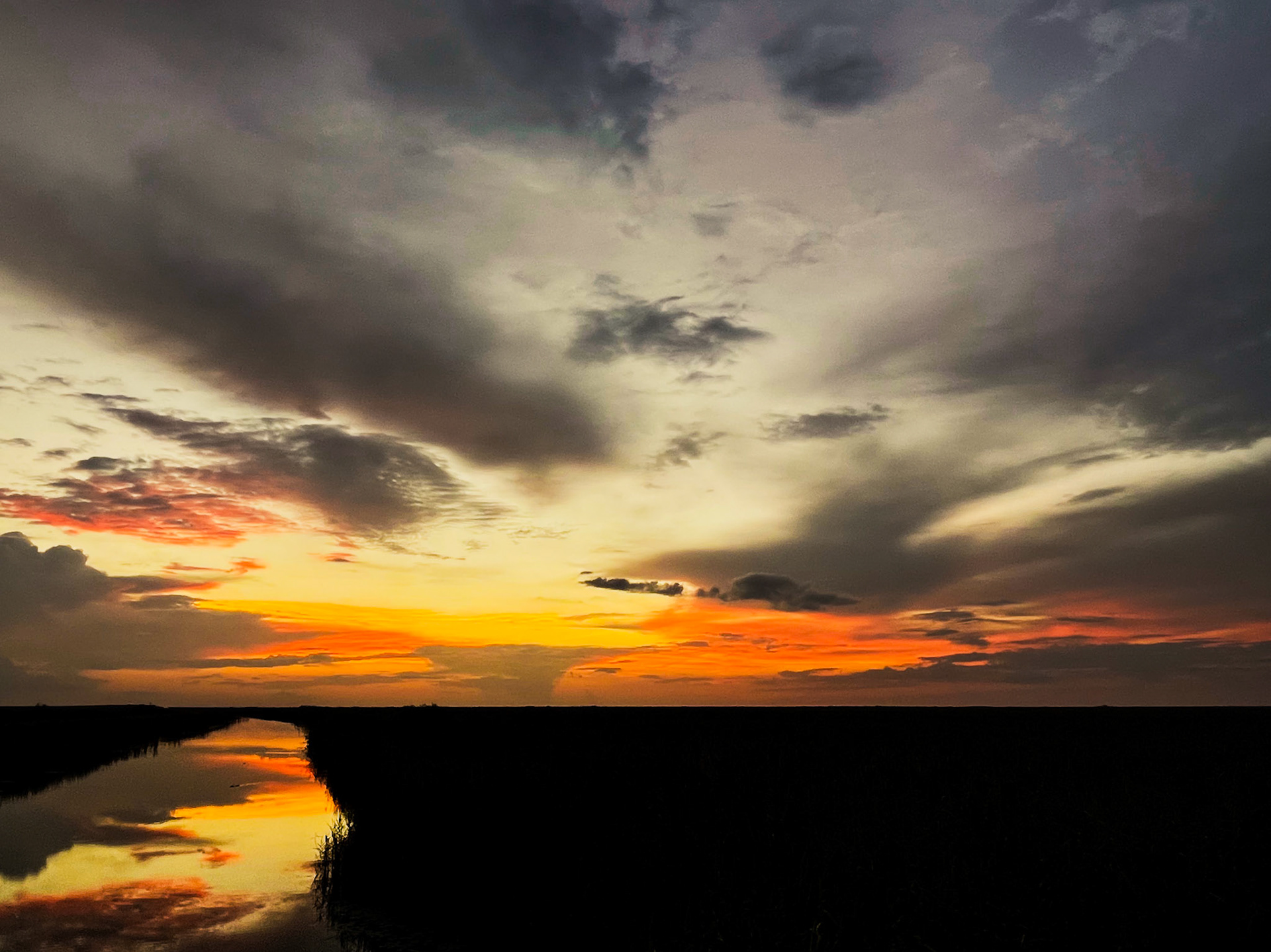 Florida Everglades