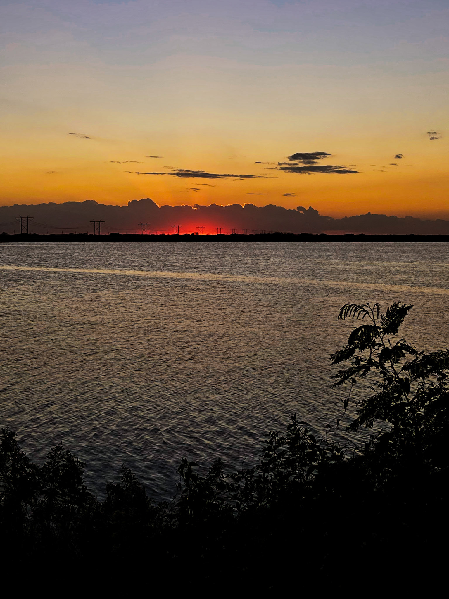 Florida Everglades