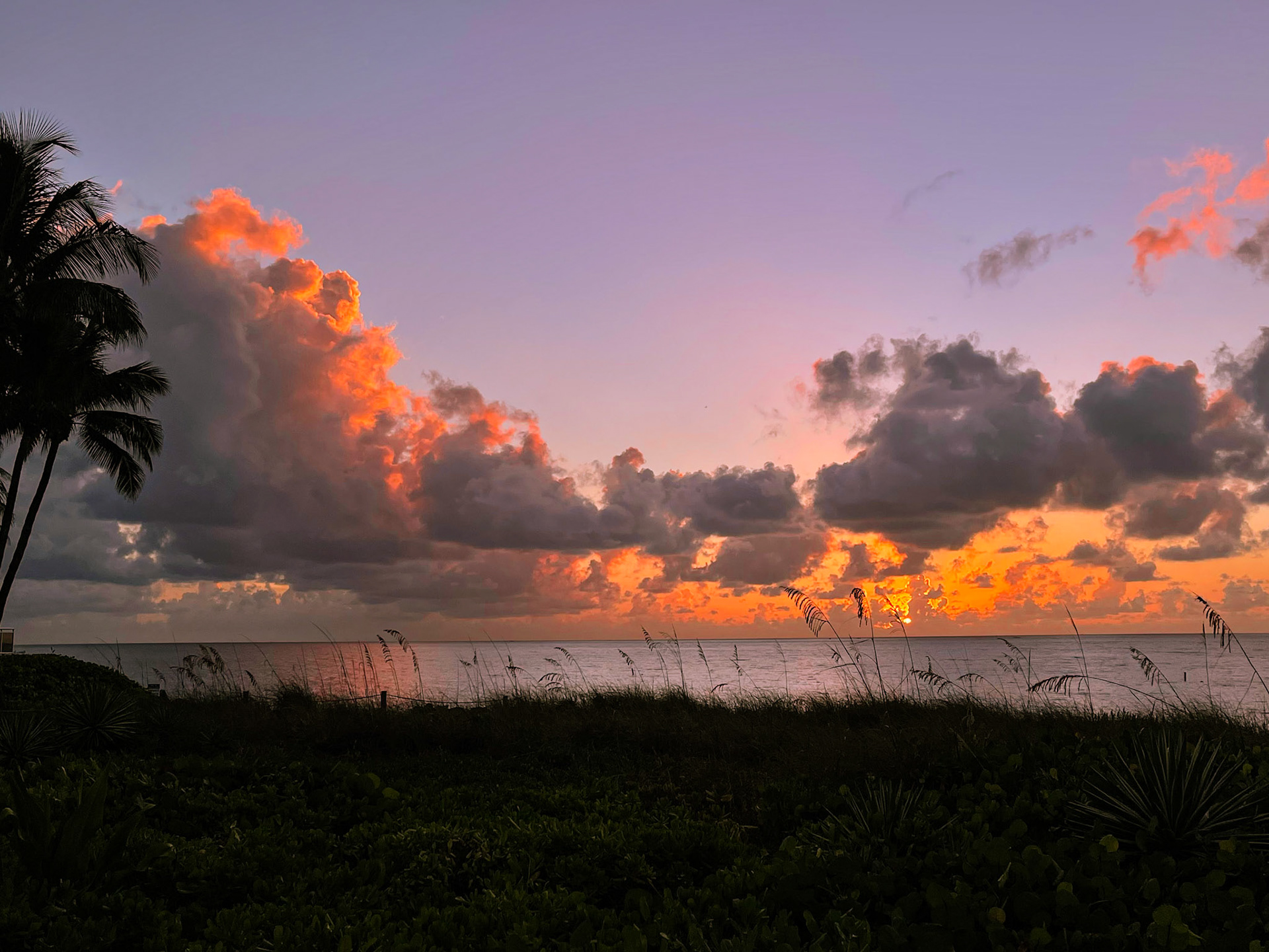 South Florida