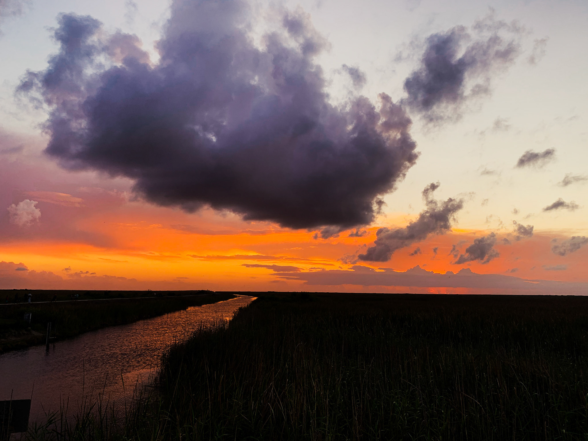 Florida Everglades
