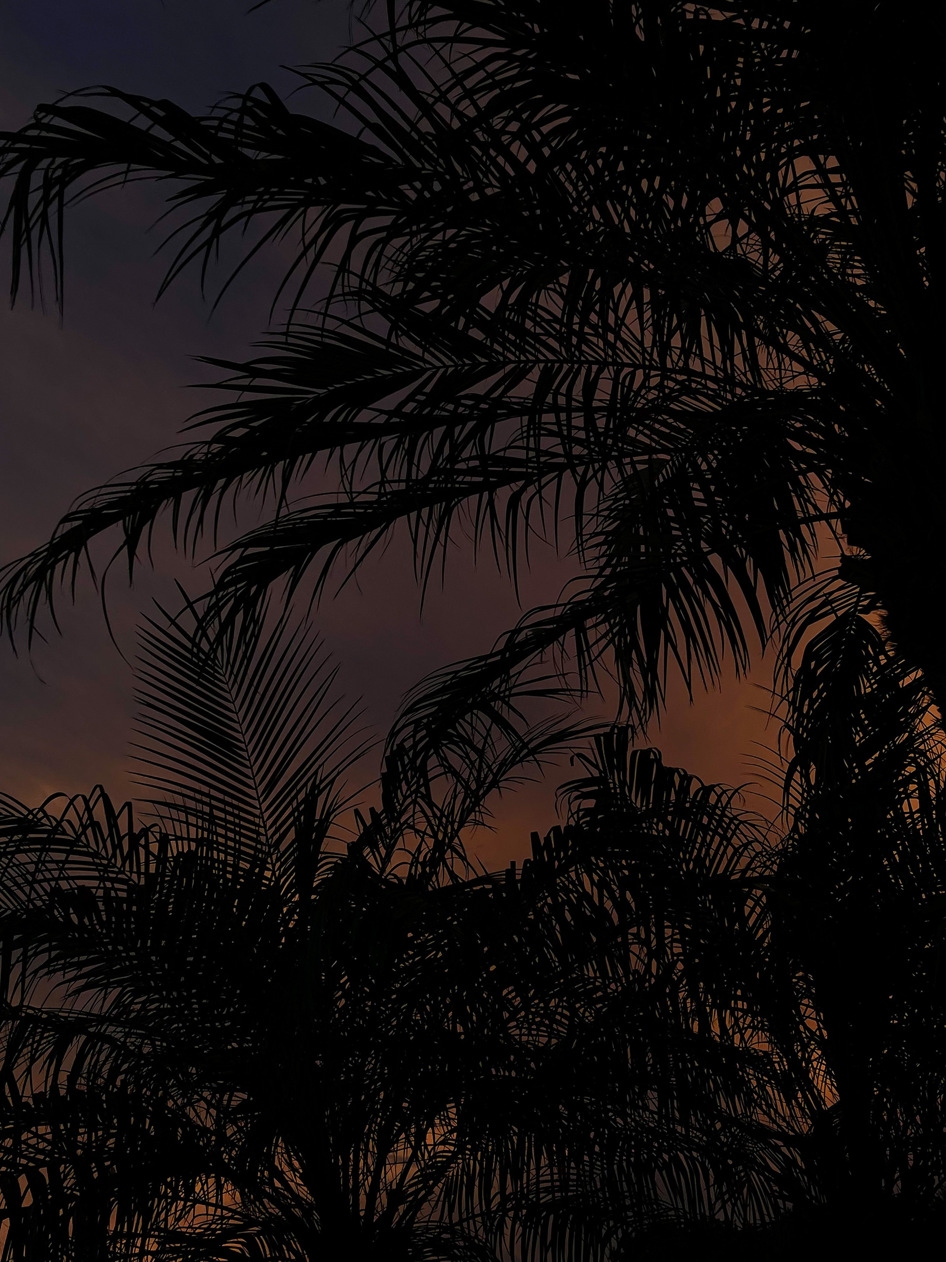 South Florida