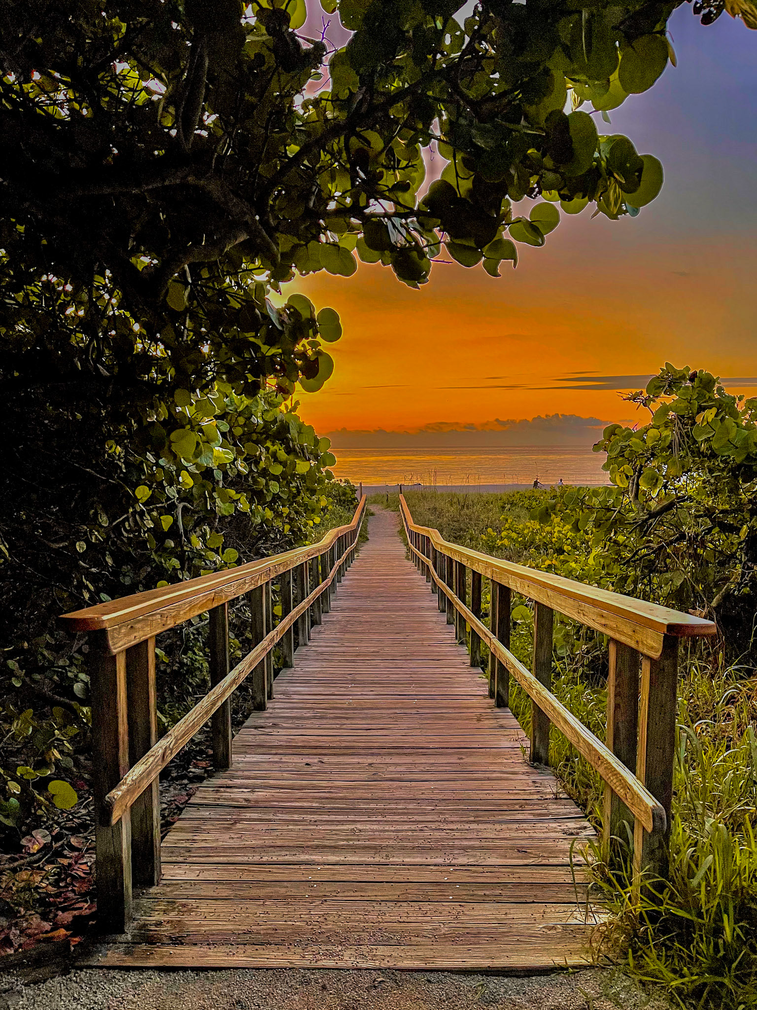 South Florida