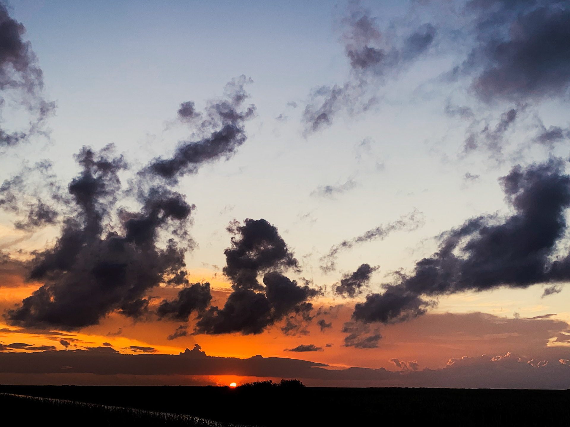 Florida Everglades