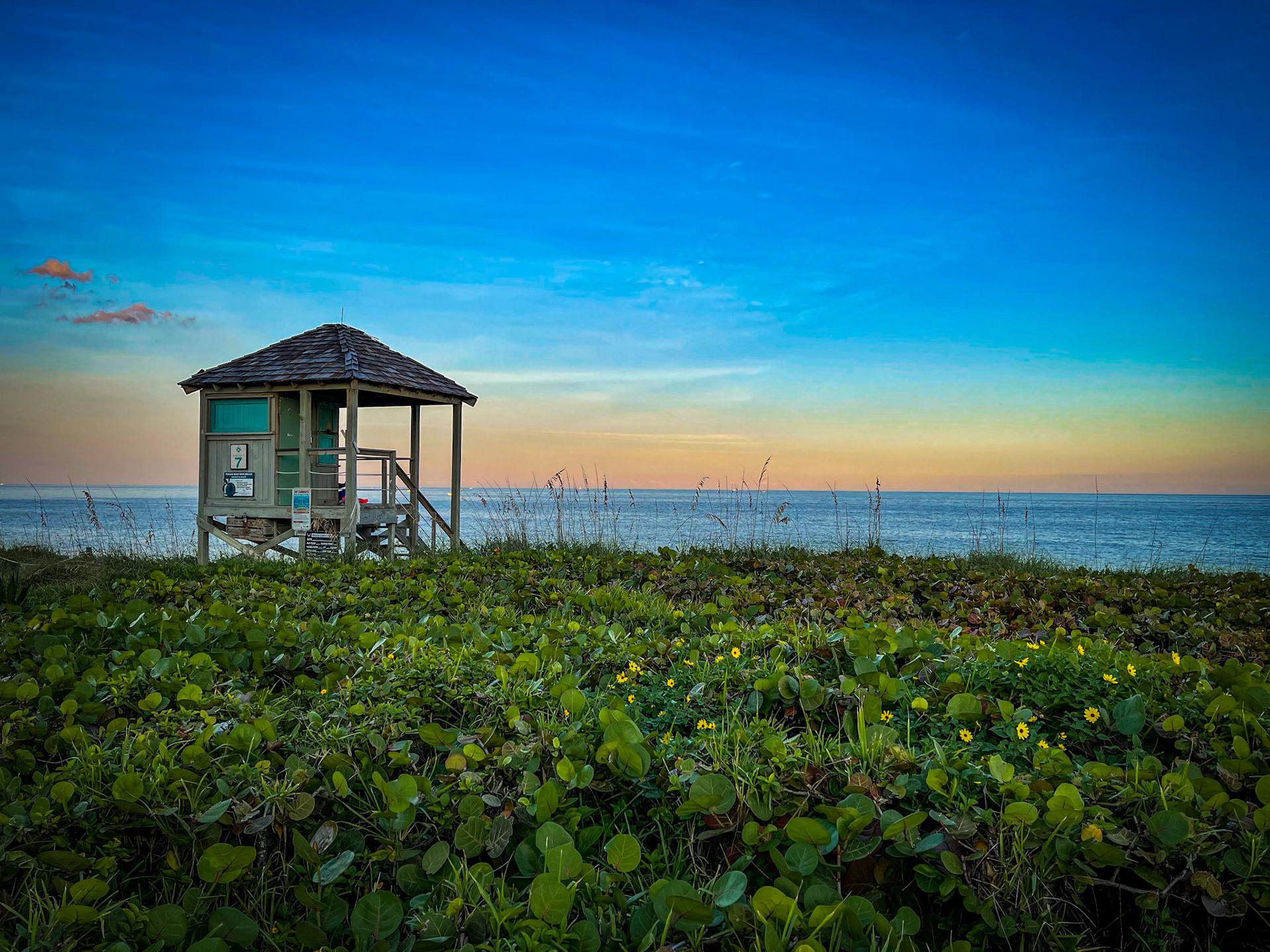 South Florida