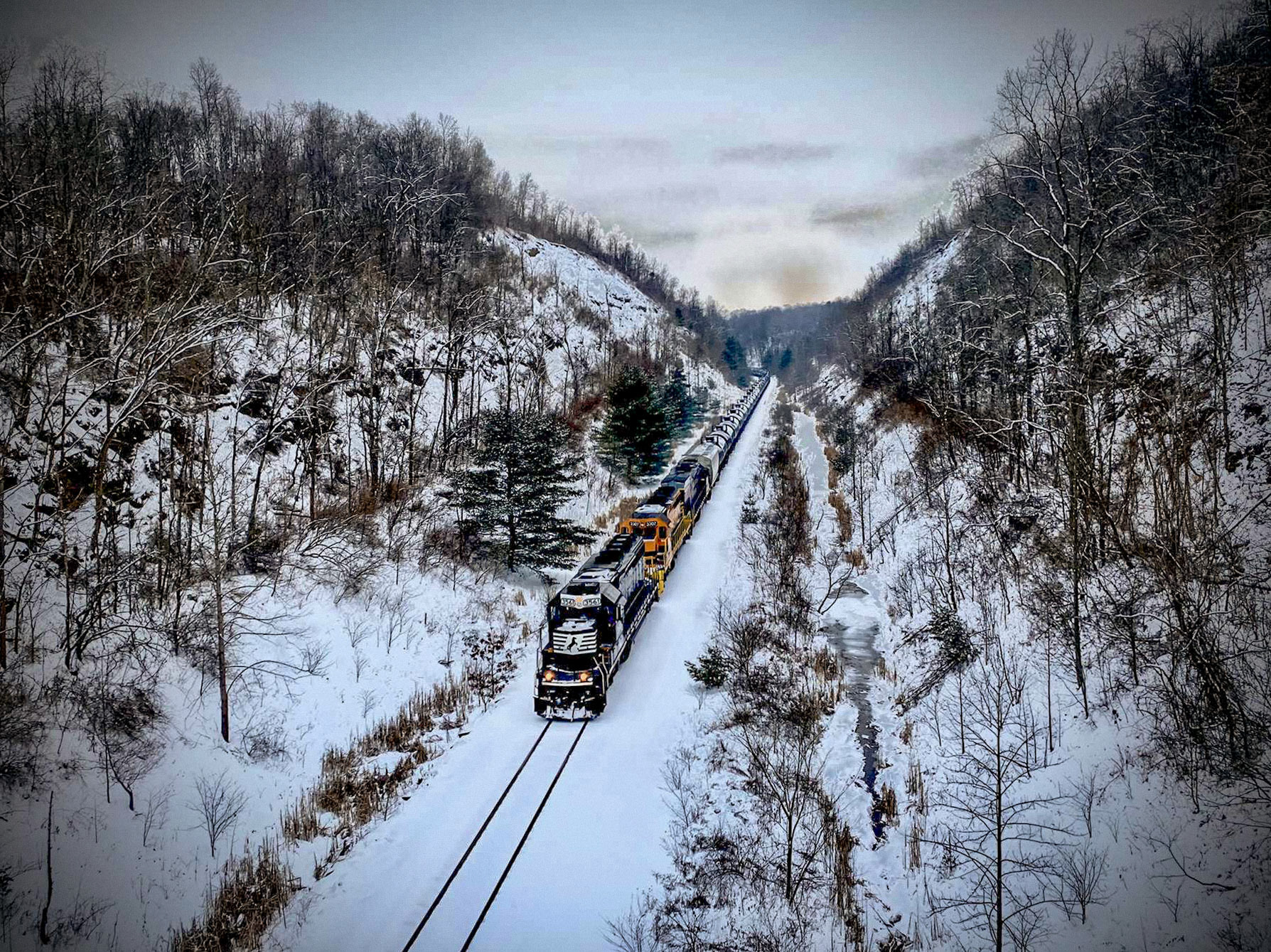 Captured by: Isaac Pangrazio