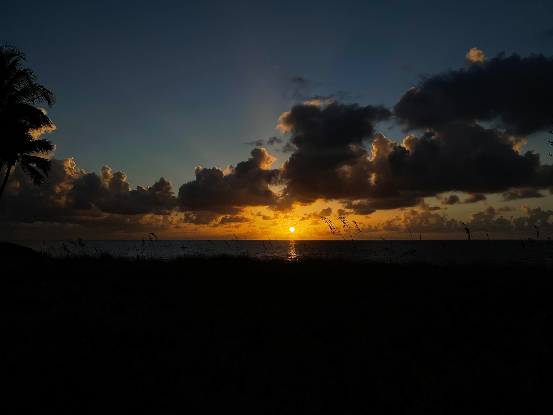 South Florida