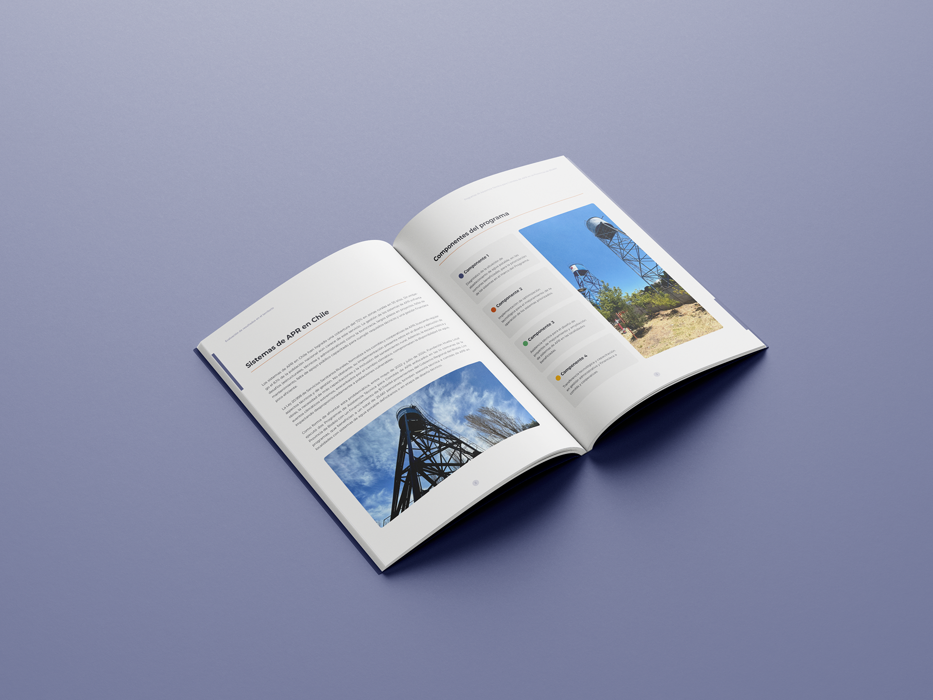 Memorias históricas, reportes anuales, guías o manuales. Publicaciones con edición clara y diseño acorde al contexto institucional.