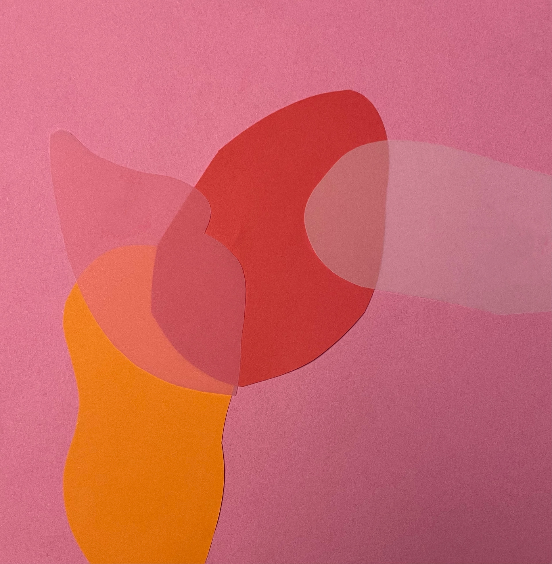 sens_5  20x20  paper on paper