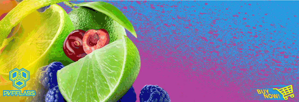 Web Banner