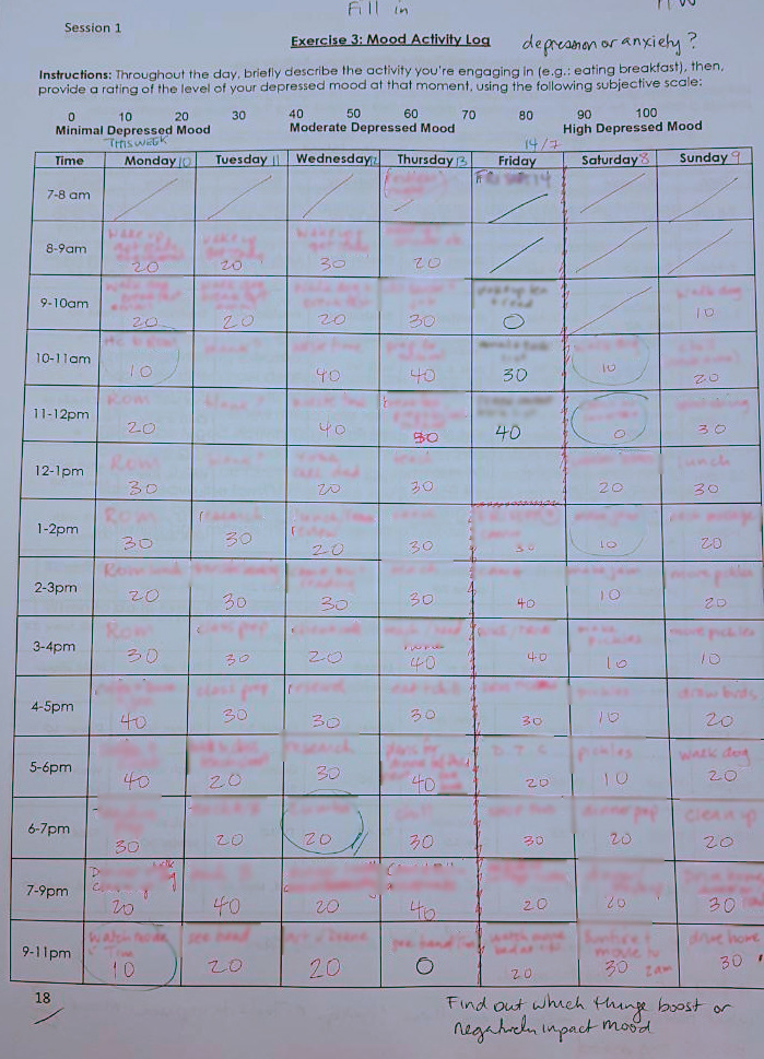 A successfully completed log (details blurred for privacy).