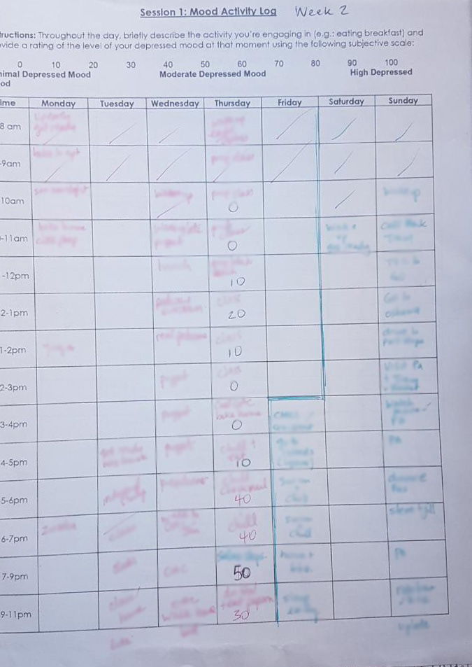 A sample of a partially log (details blurred for privacy).