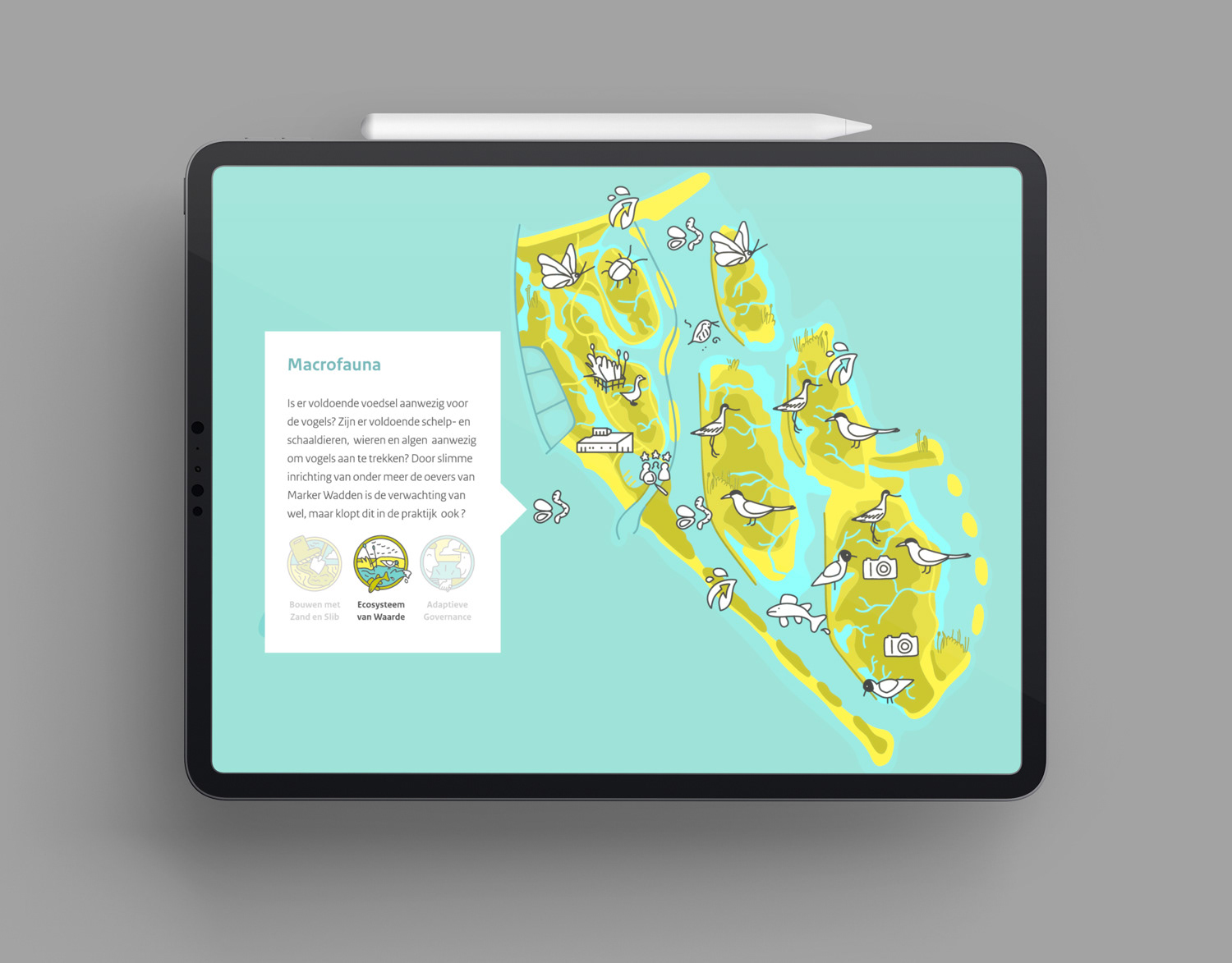 marker wadden infographic voor natuurmonumenten Deltares ecoshape
