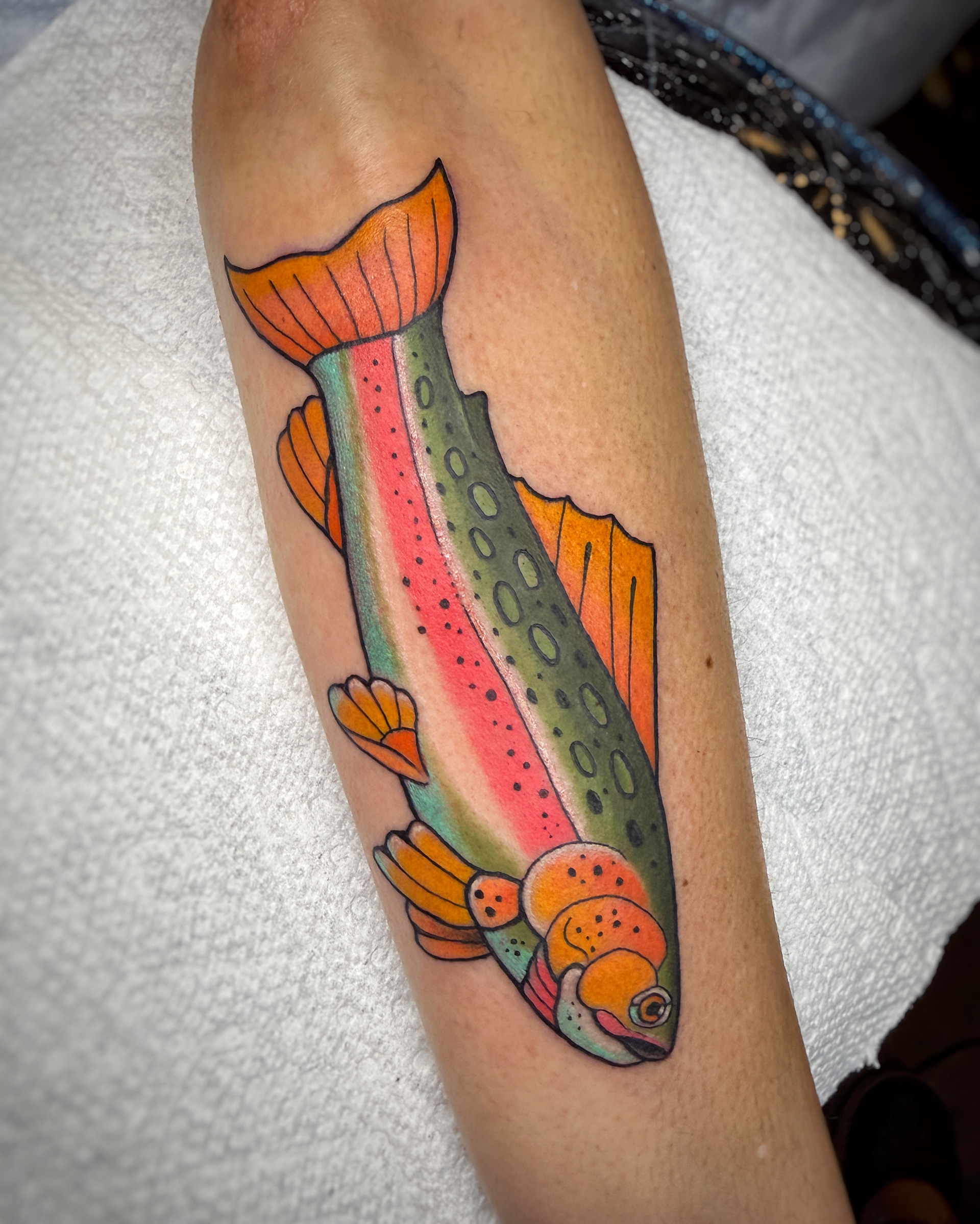 rainbow trout