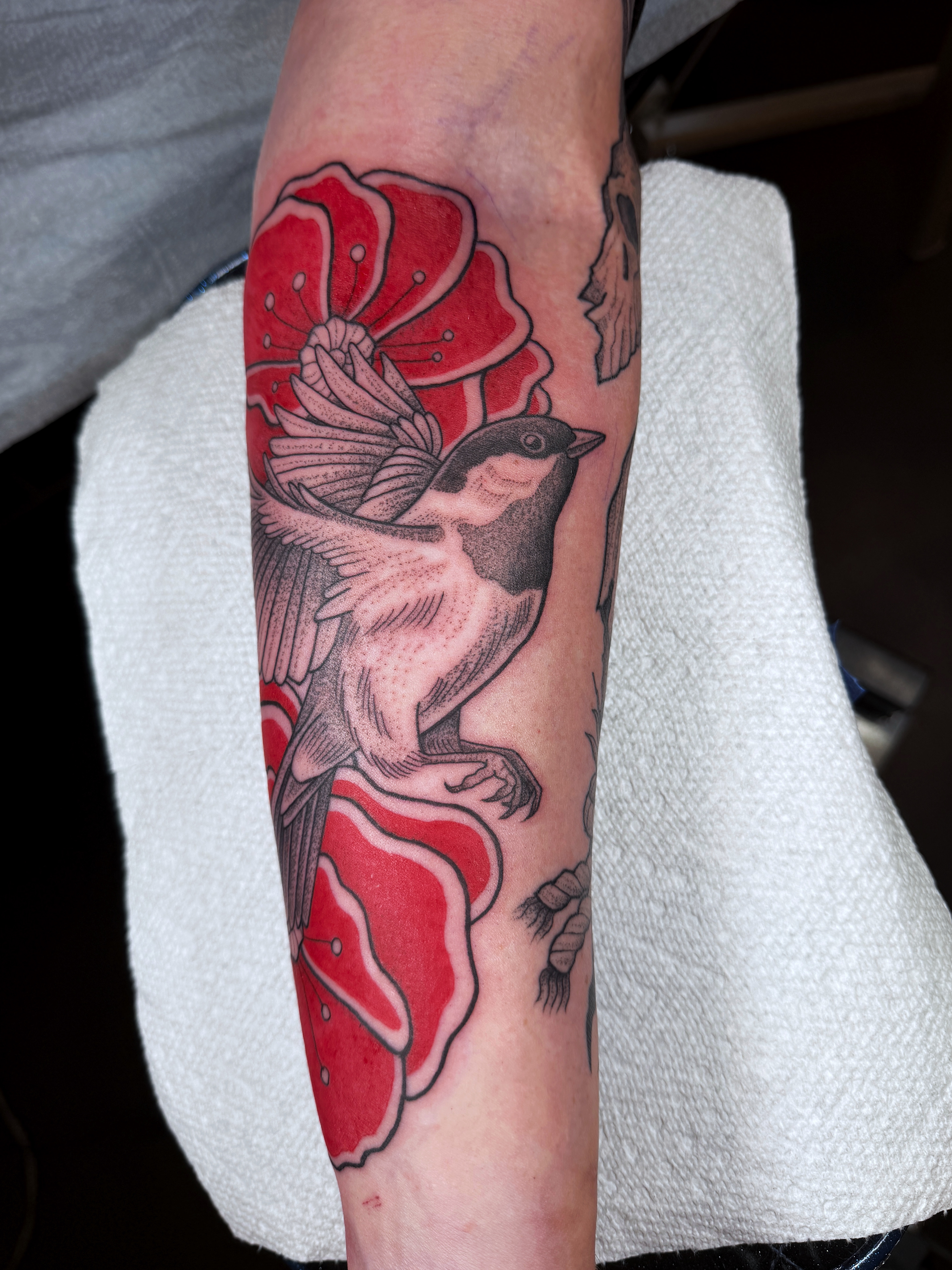 chickadee with poppies