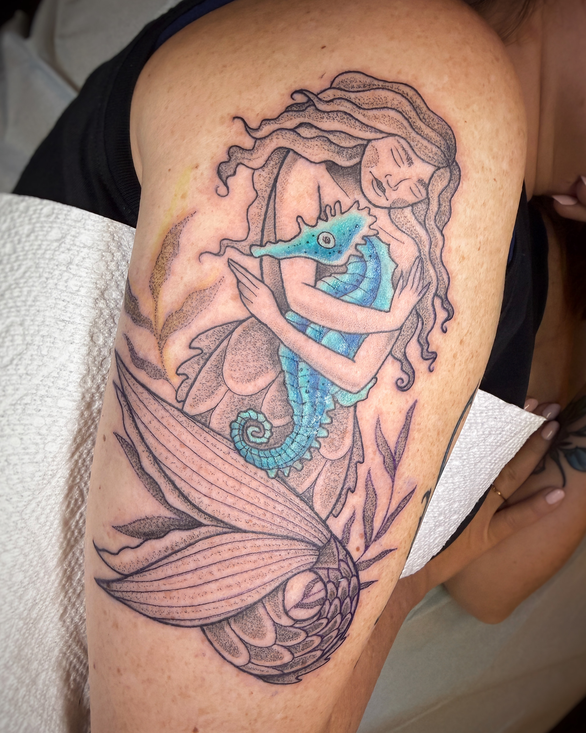 mermaid and seahorse
