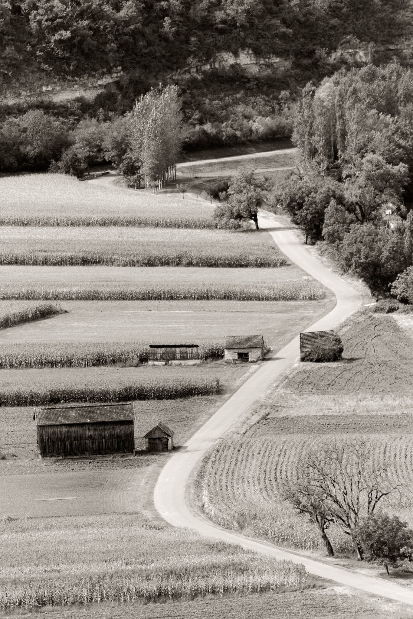 ROAD TO THE RIVER An original photograph by Chris Rose. Image size: 29cm x 20cm. Frame size: 47cm x 37cm. FOR SALE £50