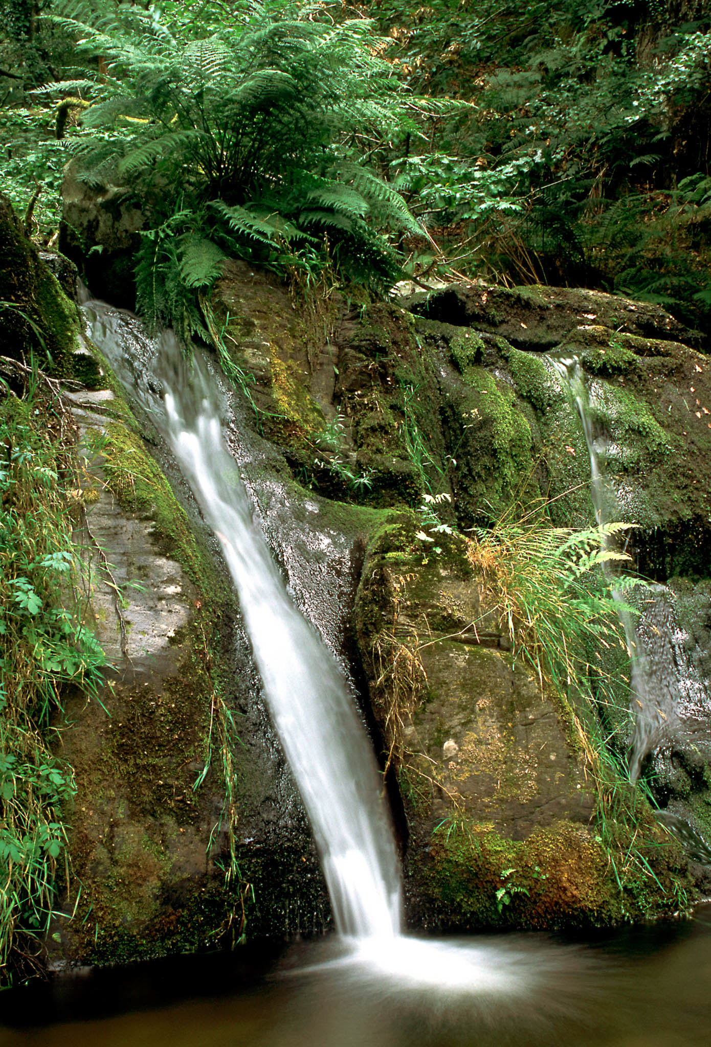 NEAR LLYN BRIANNE. An original photograph by Chris Rose. Image size: 39cm x 29cm. For Sale: £18