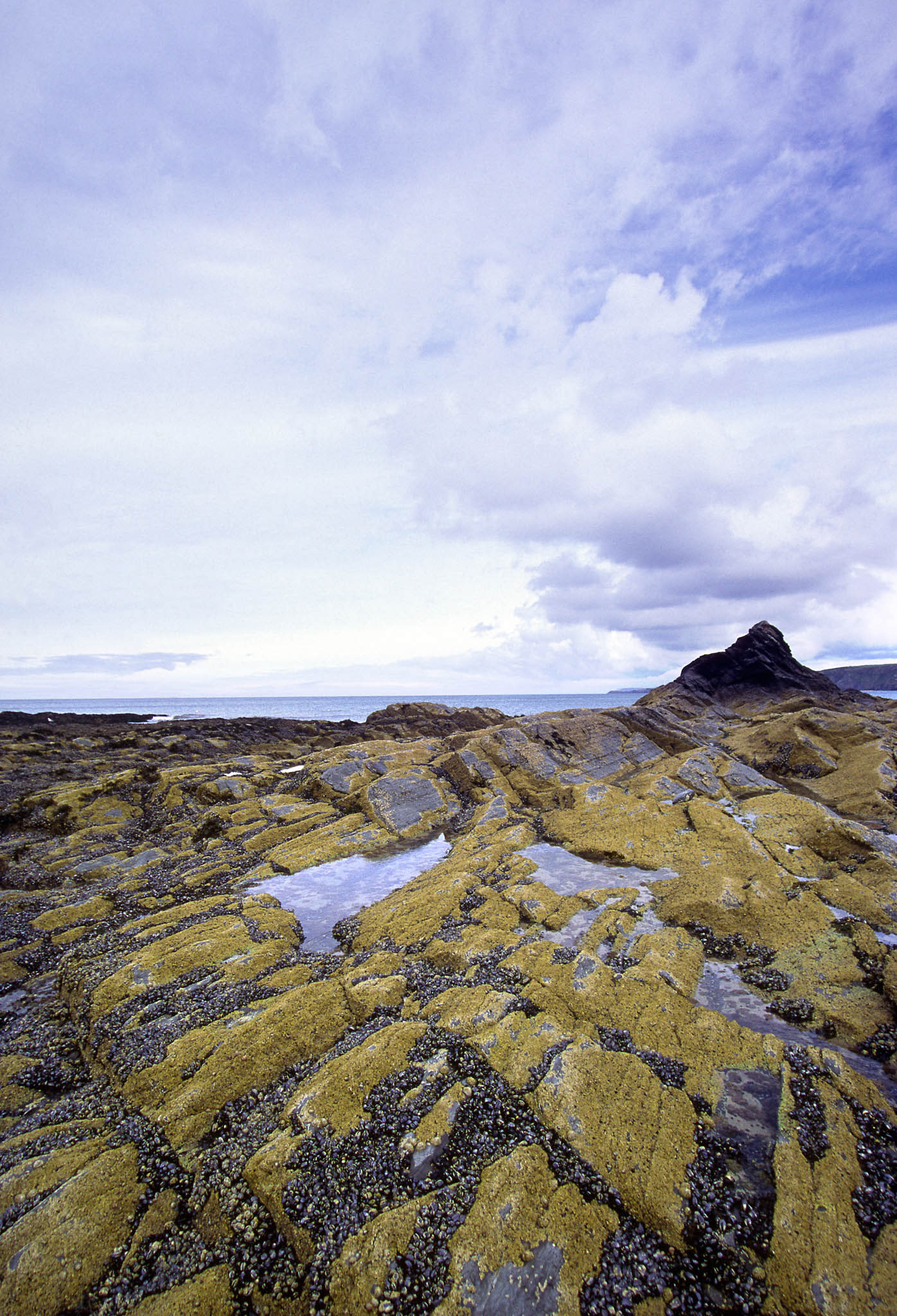 ABERPORTH LOW TIDE. An original photograph by Chris Rose. Image size: 44cm x 29cm. For Sale: £18