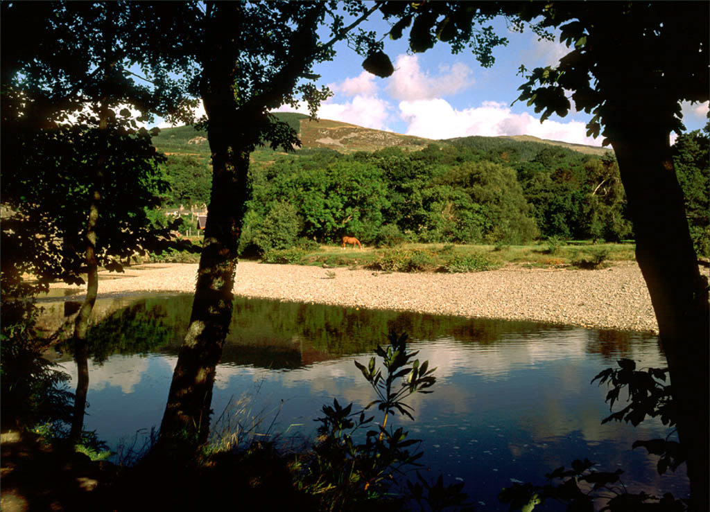 NEAR DOLGELLAU. An original photograph by Chris Rose. Image size: 28cm x 39cm. For Sale: £18