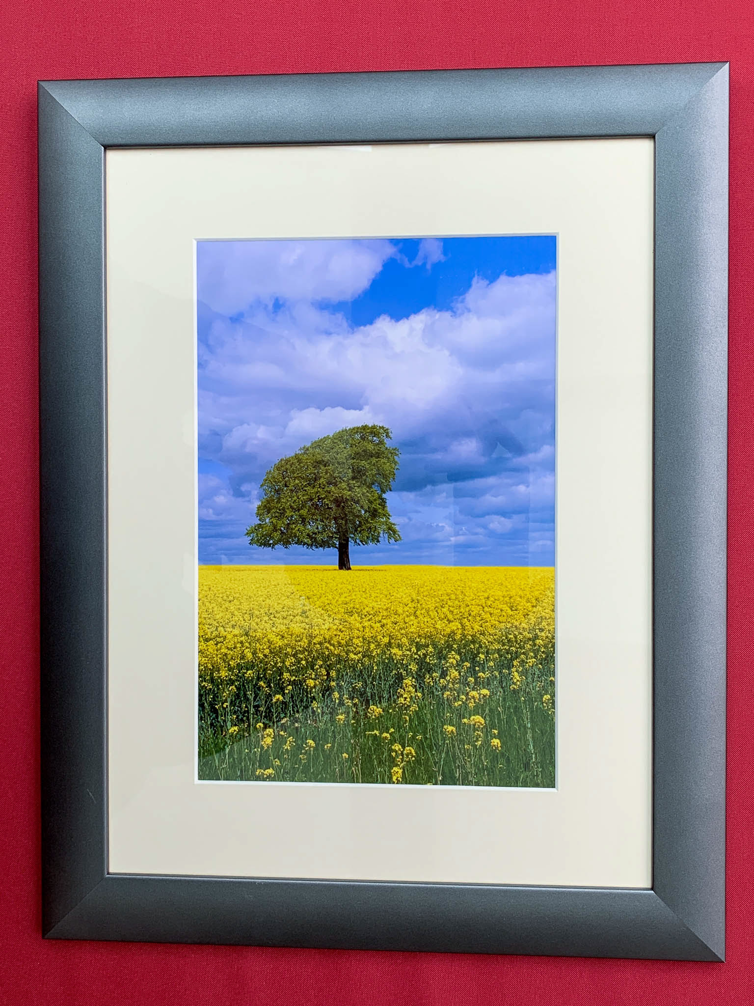 HAZELCOTE FARM. An original photograph by Chris Rose. Image size: 29cm x 20cm. Frame size: 47cm x 37cm. FOR SALE £50