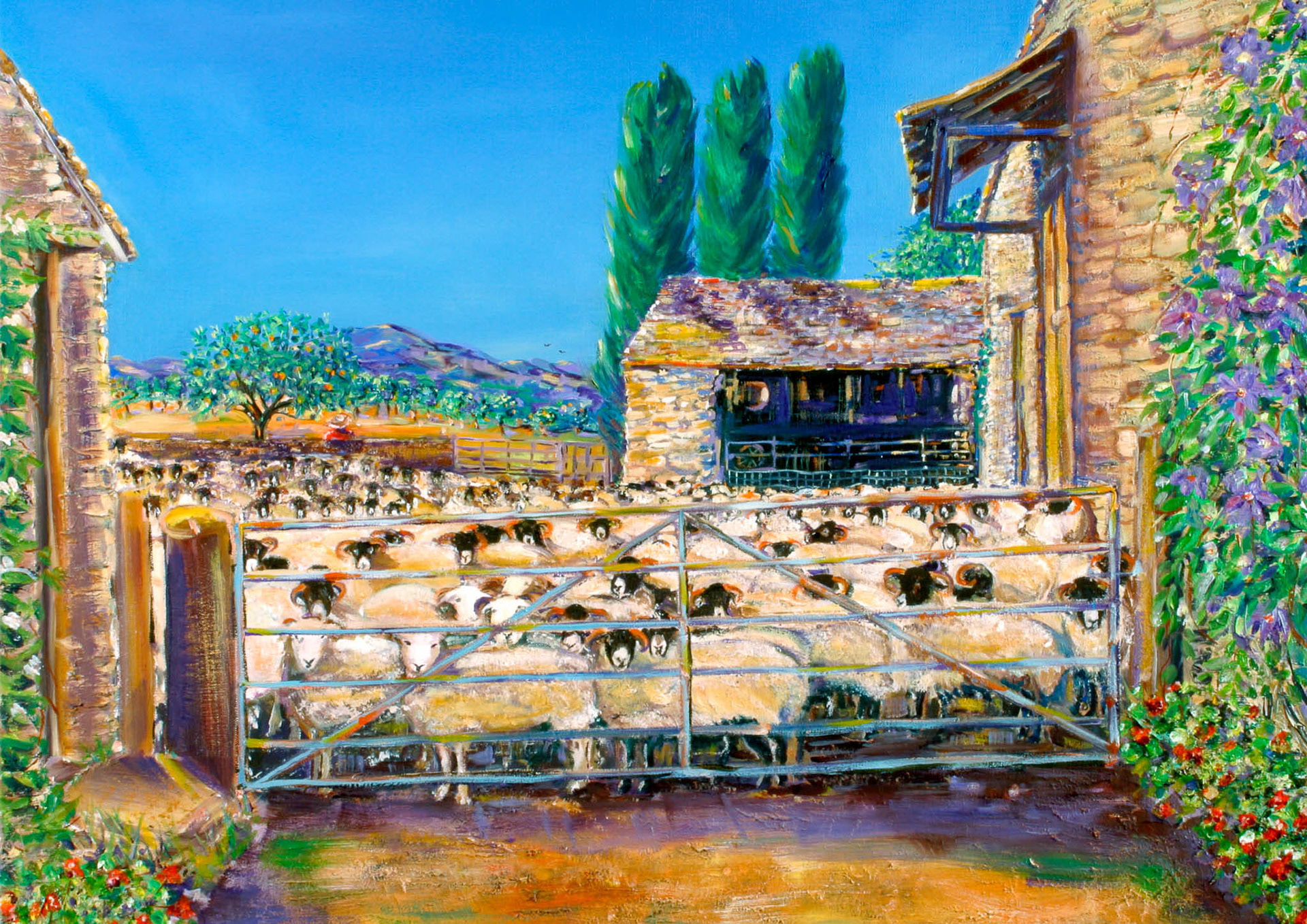 SUMMERTIME SHEEP. x2. From an original painting by Diana Aungier-Rose. Print size: 26cm x 37cm. For Sale: £18
