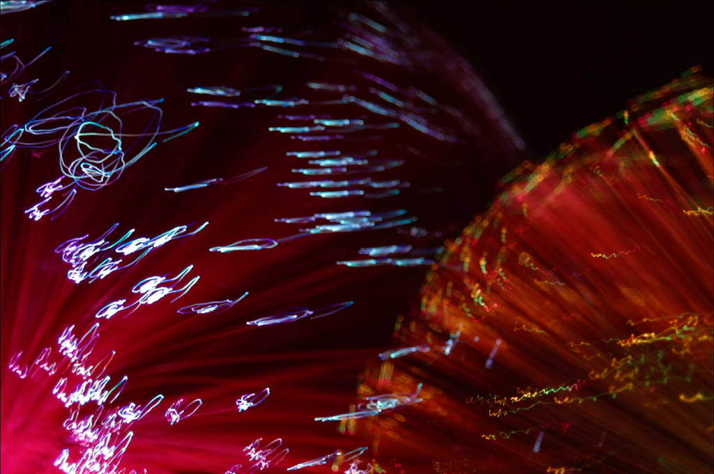 FIBRE OPTIC ABSRACT #3614D32. An original photograph by Chris Rose. Image size: 30cm x 45cm. For Sale: £18