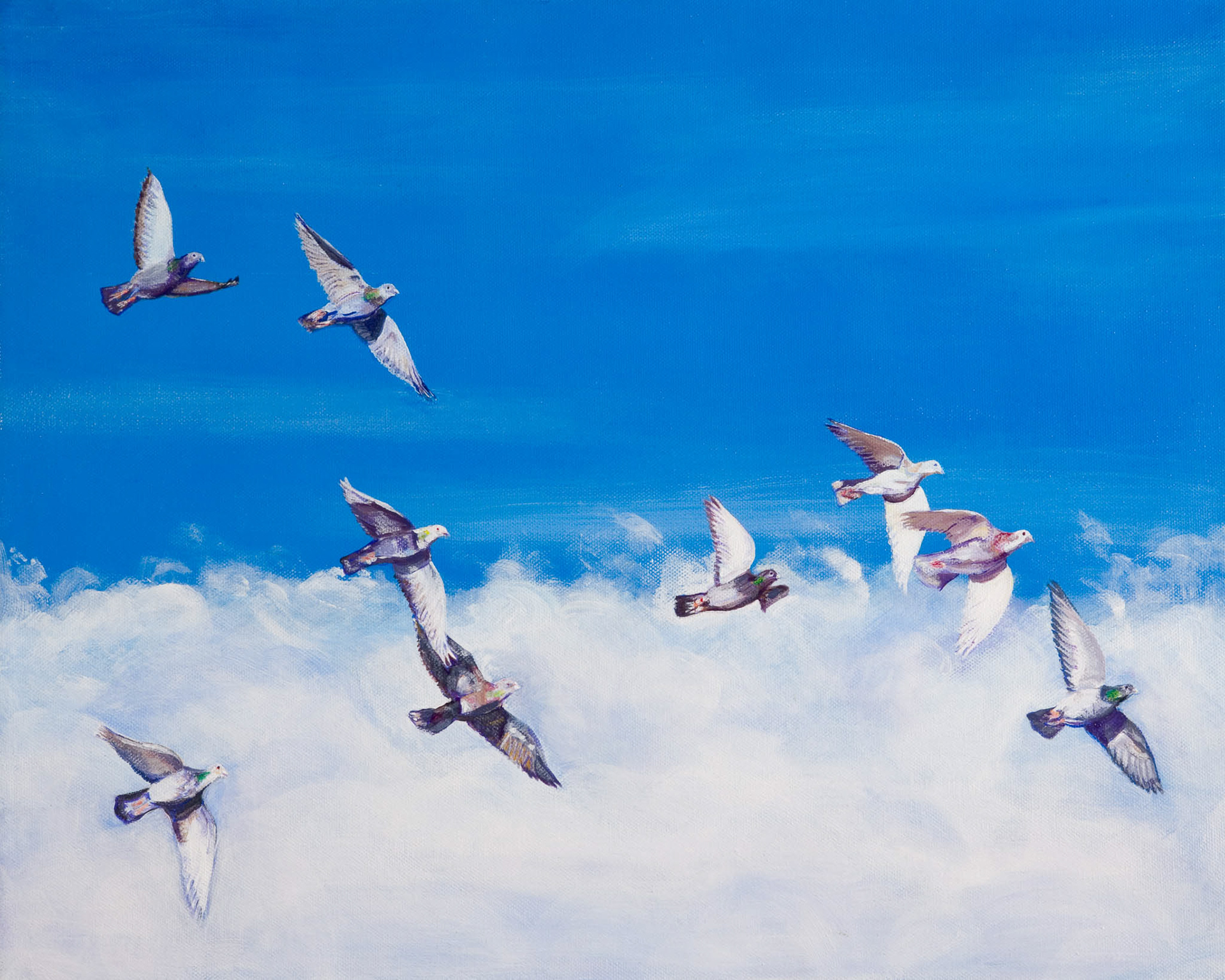 GEORGE'S PIGEONS. From an original painting by Diana Aungier-Rose. Picture size: 29cm x 39cm. Mount size: 40cm x 50cm. FOR SALE: £29.