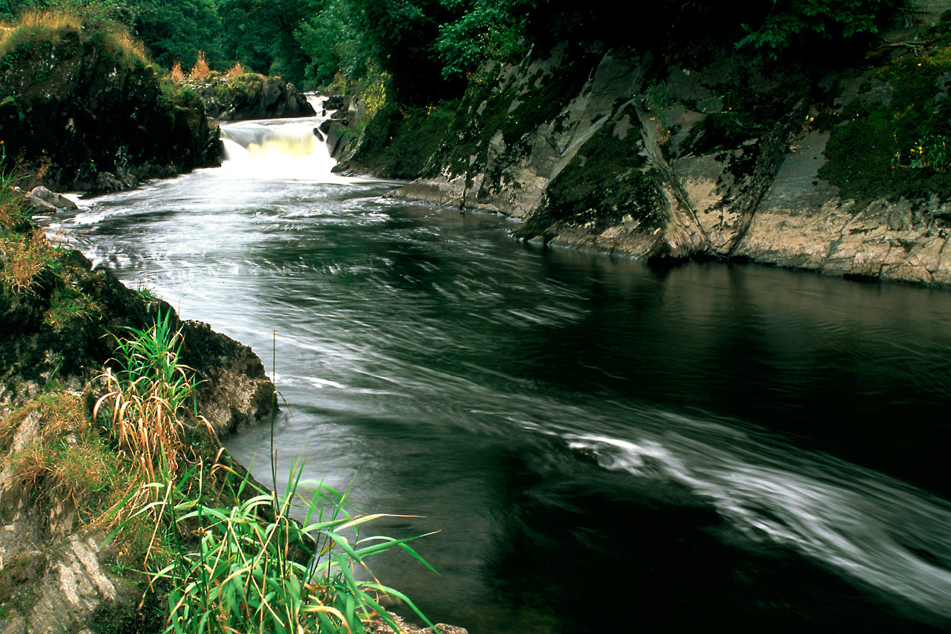 RIVER TEIFI AT CENARTH An original photograph by Chris Rose. Image size: 31cm x 46cm. Frame size: 56cm x 77cm. FOR SALE £85