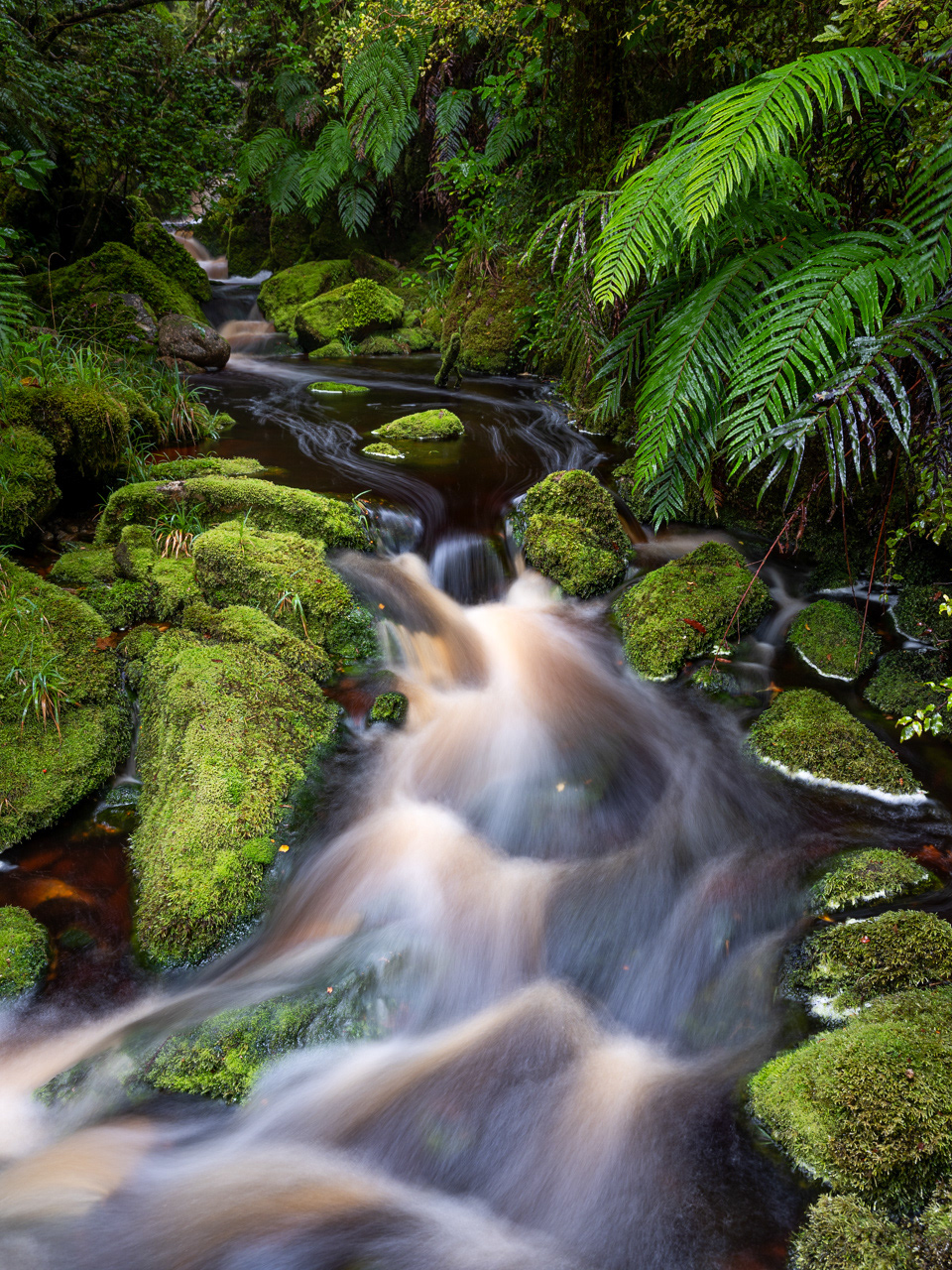 Stream, Oparara