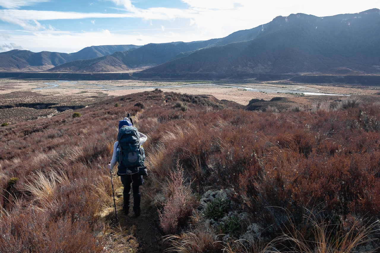 View from Waitawhero Saddle looking towards Boyd Hut