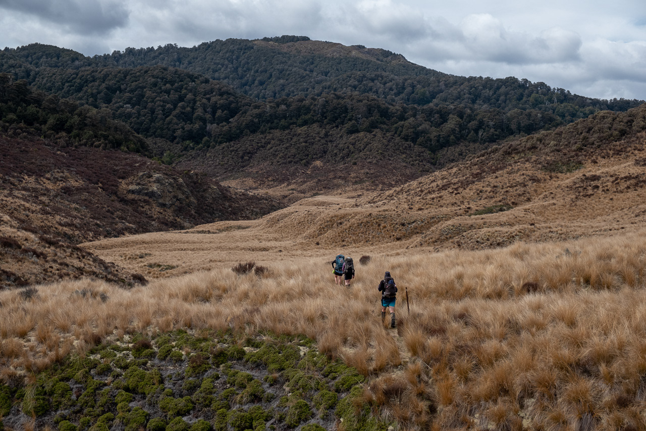 The Harkness Valley