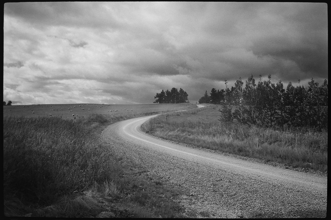 The road ahead. A few showers on the way.