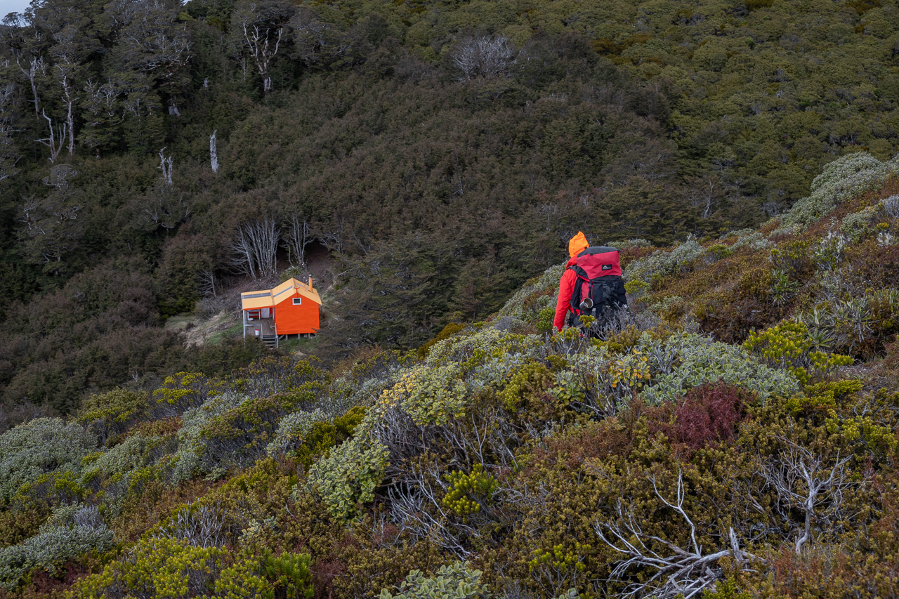 Te Puke Hut