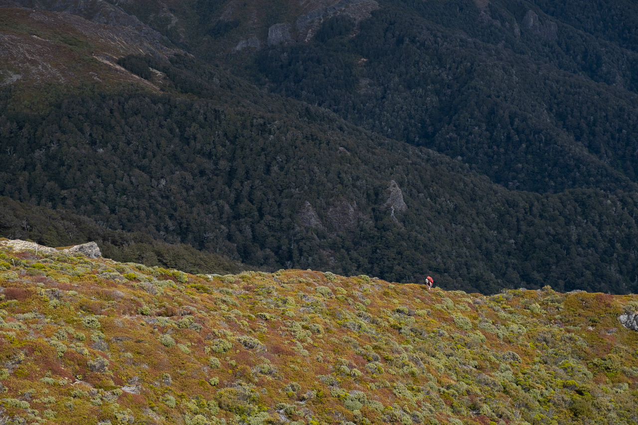 A speck in the landscape