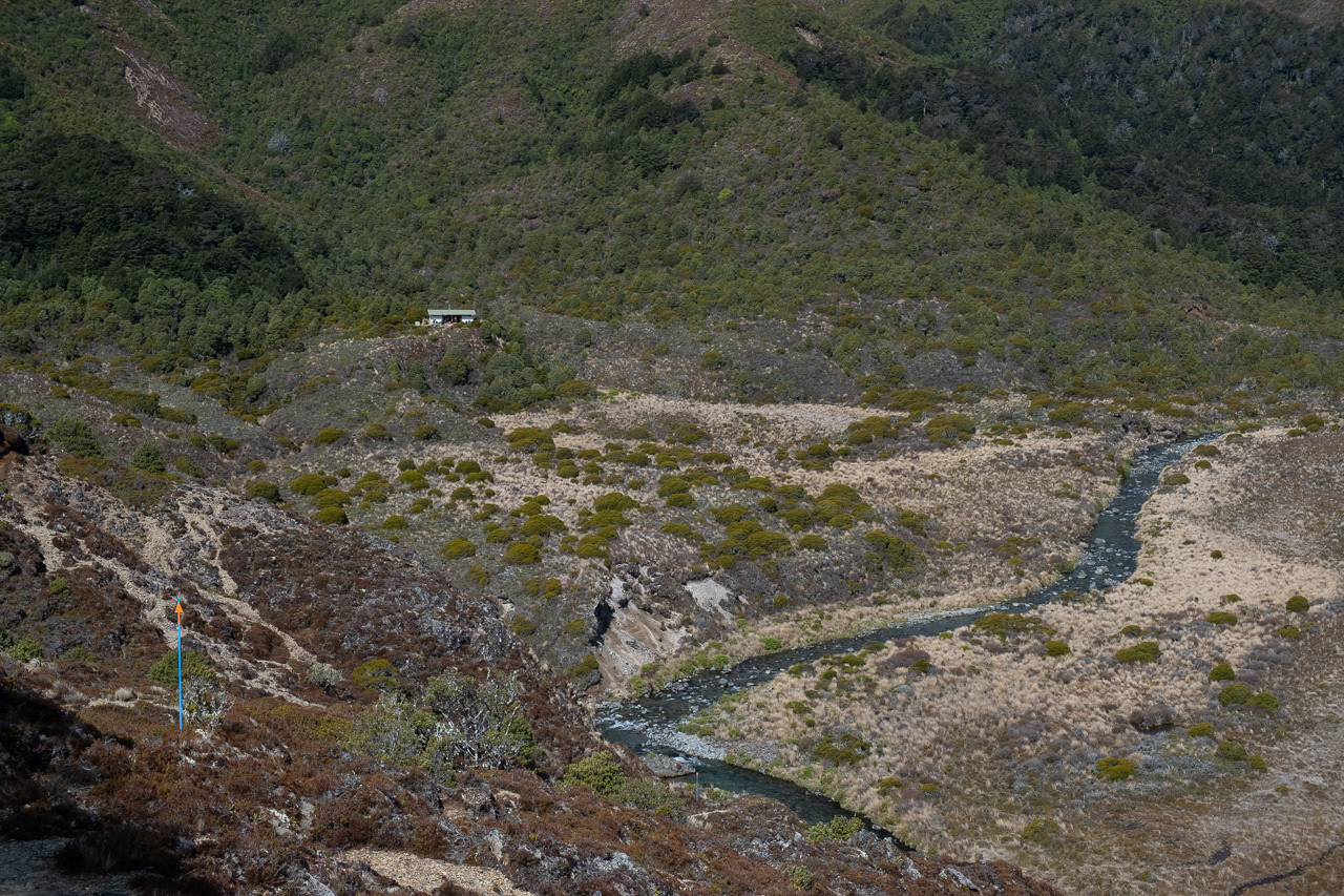 First view of Waipakihi Hut
