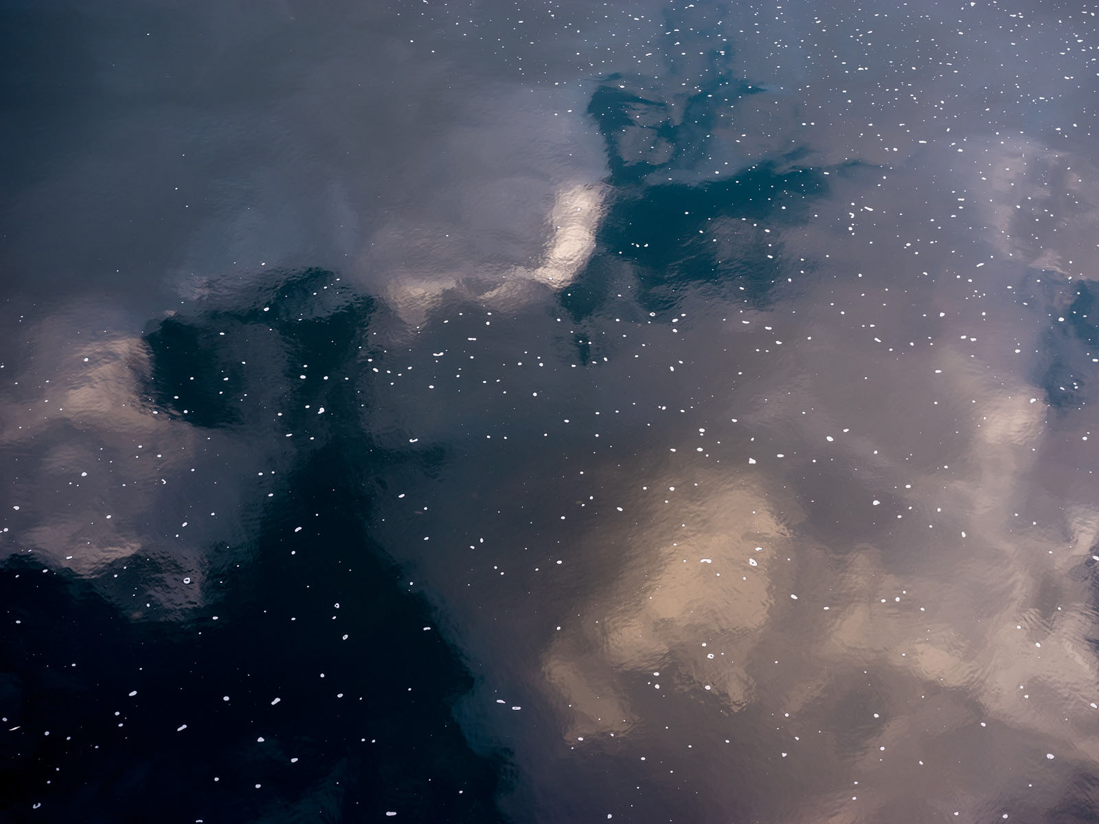 Like Cherry Blossoms, Nowhere, Everywhere | 19:47:30