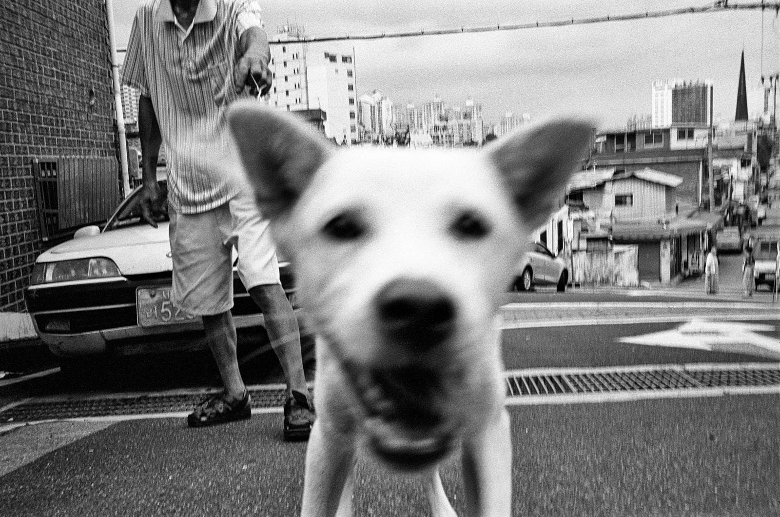 Hello?, Seoul, South Korea, 2010